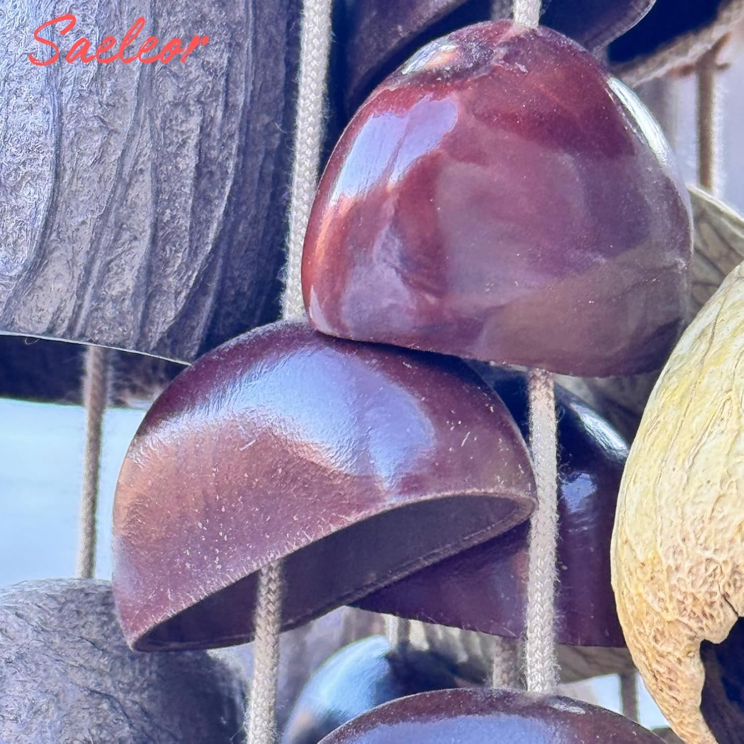 Seed Shell Hand Rattle 4 Kinds of 53 Pure Natural Nut Shells Sound Healing Instruments for Sound Healing and Mindfulness Meditation