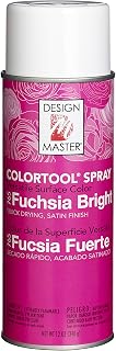 Design Master 765 Spray Paint, Fuchsia Bright