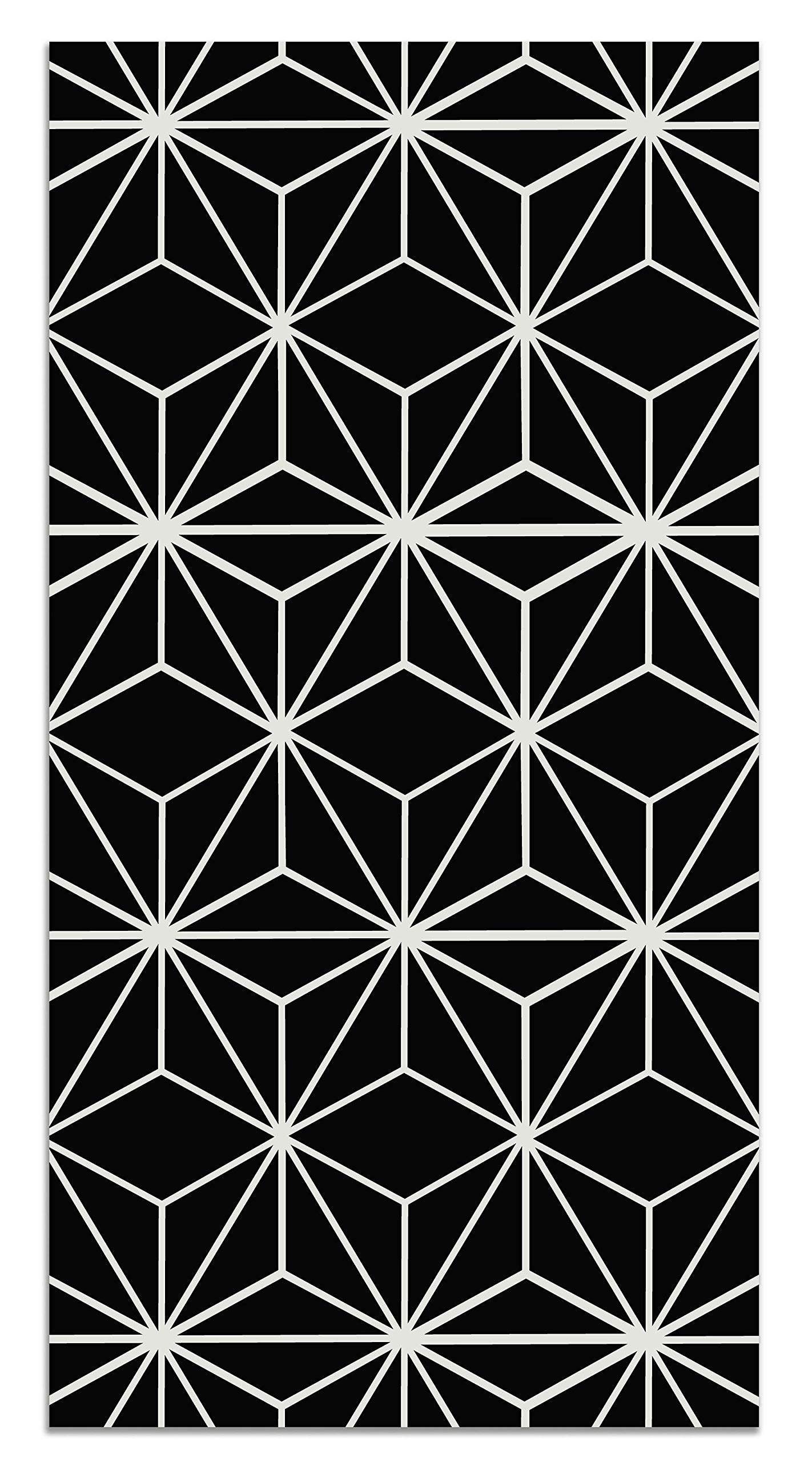 Tapis vinyle du sol allée pour protéger le parquet des rayures d'animaux 80x200