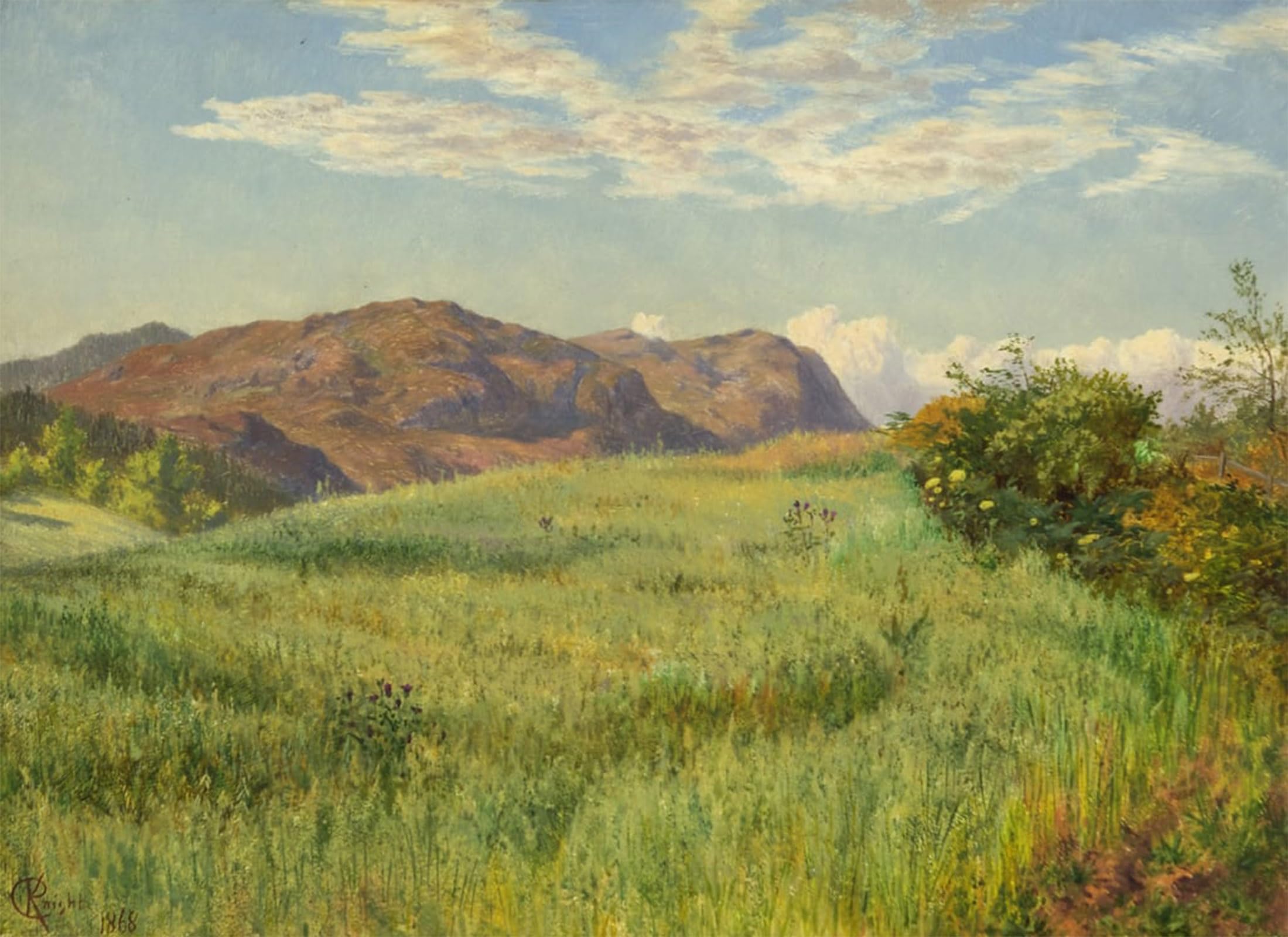 ARTXLXXBN Famous Painting Art Wall Decor Abstract Art Picture a Highland Oatfield by Charles Parsons Knight Animal Pictures for Home Decor 60x90cm