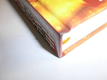 希少★デビッド・アイク著作１０冊セット★世界覚醒原論 究極の大陰謀 大いなる秘密 希少☆デビッド・アイク著作10冊セット☆世界覚醒原論 究極の大陰謀