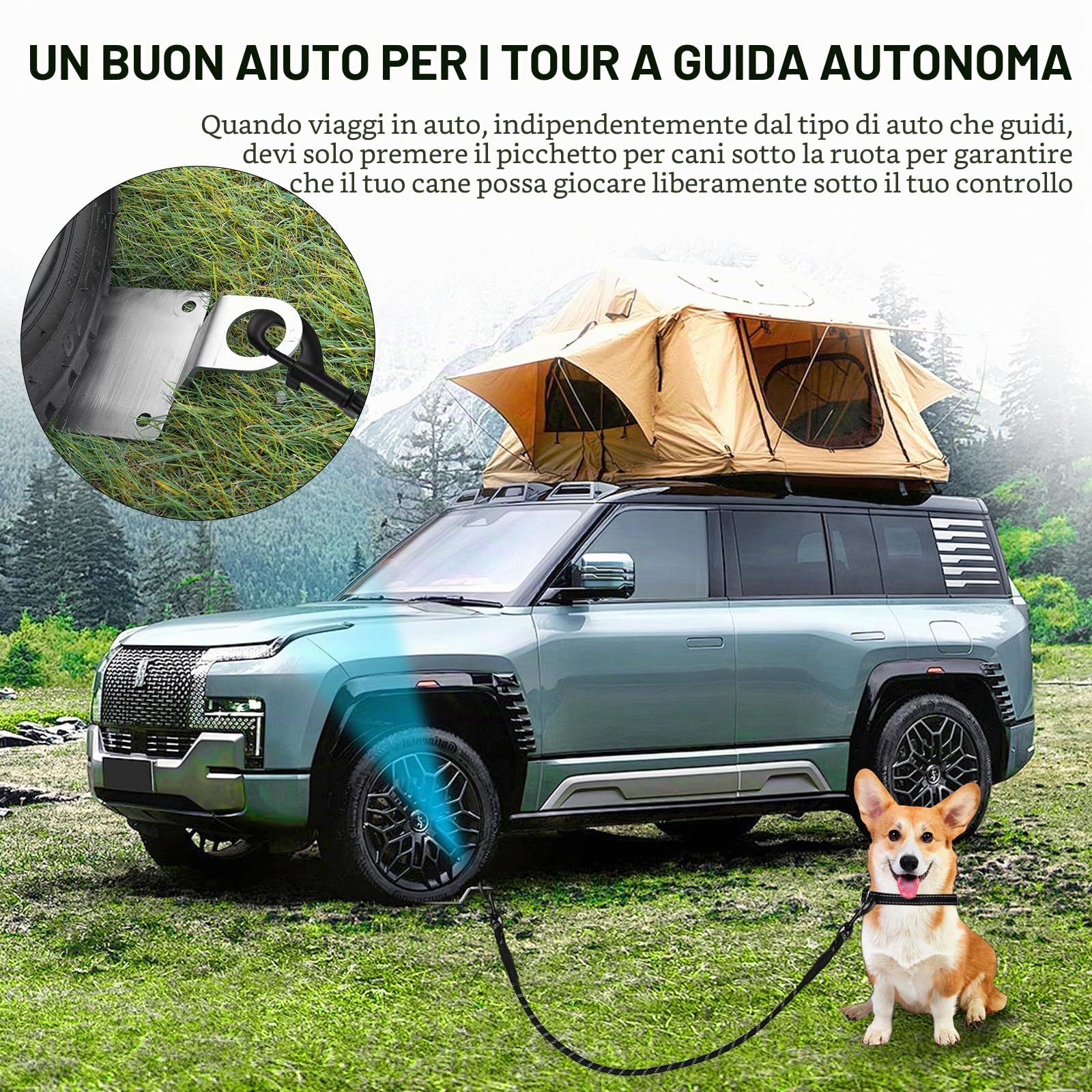 2in1 Multifunzionale Paletto Per Cani In Acciaio Inox Robusto E Stabile Per Auto Roulotte Camper Supporto Da Terra Per Cortile Spiaggia Campeggio Argento