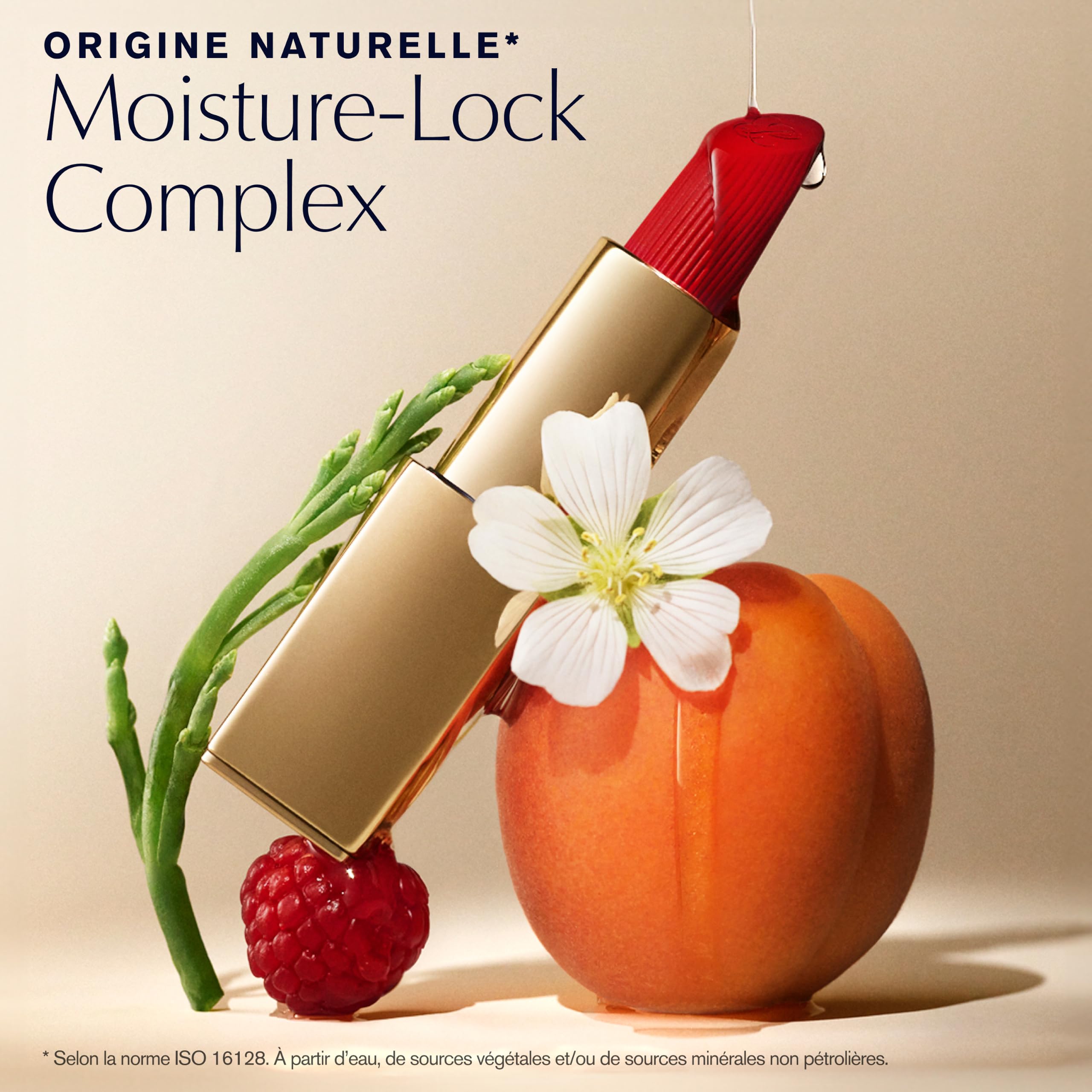 Estée Lauder Pure Color Rouge à Lèvres Mat | Fini Mat, Repulpant et Nourrissant, 3.5g
