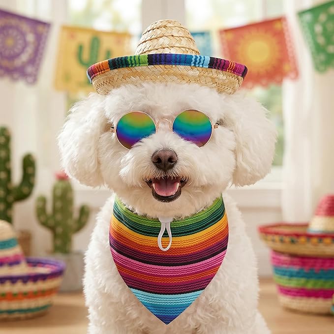 Disfraz Cinco De Mayo para Mascota 3 Piezas: Sombrero, Bandana y Gafas miniatura 6