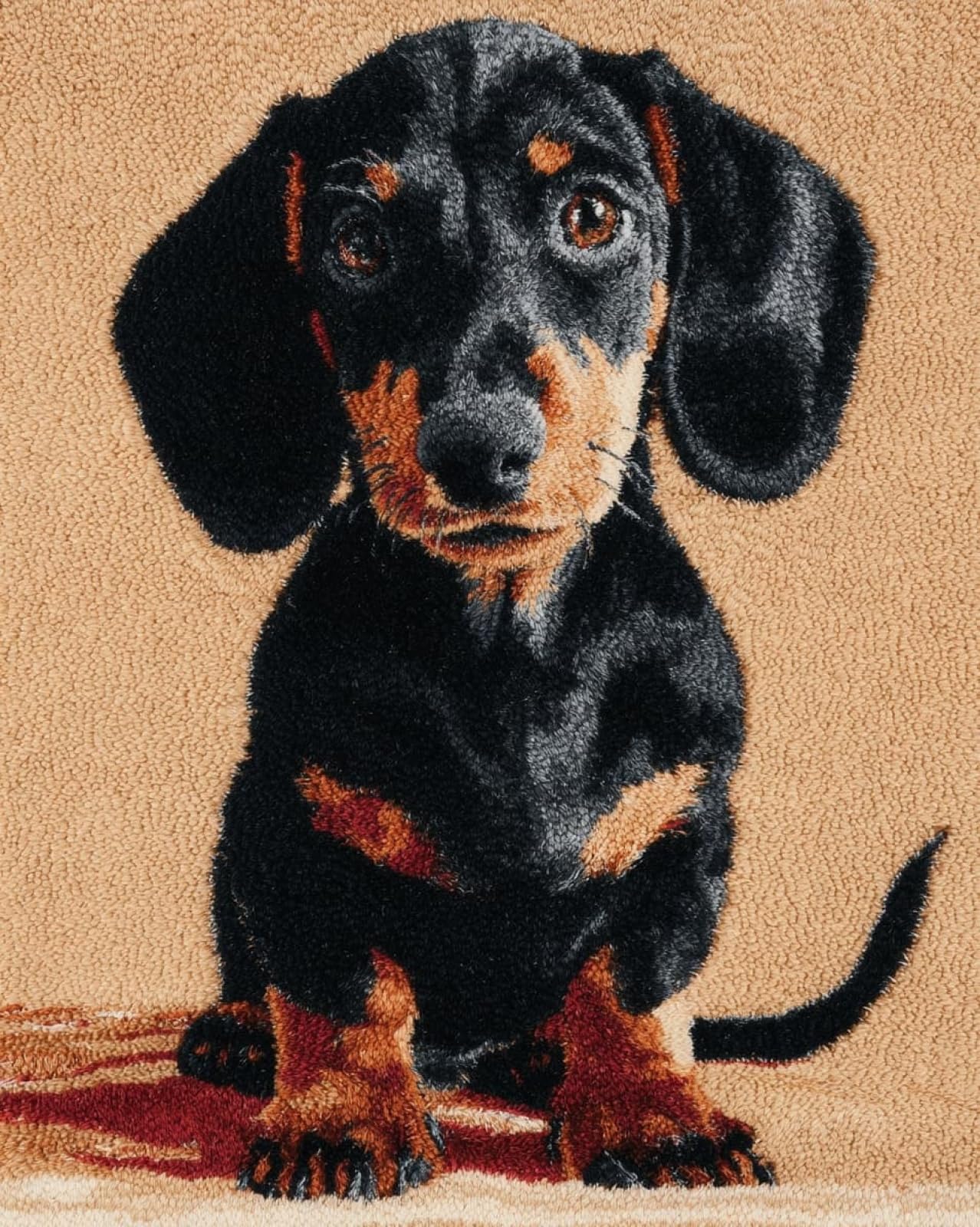 Wallphantom Latch Hook Rug Kits for Adults Beginners,Happy Dachshund,DIY with Printed Canvas Crochet Yarn Handmade Embroidery Crafts Crochet for Home Decoration,90x120cm
