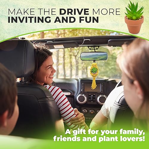 Miniatura 6 de Juego de 2 macetas colgantes para suculentas con aceite esencial y suculentas artificiales, perfectas para el hogar, la oficina o el espejo