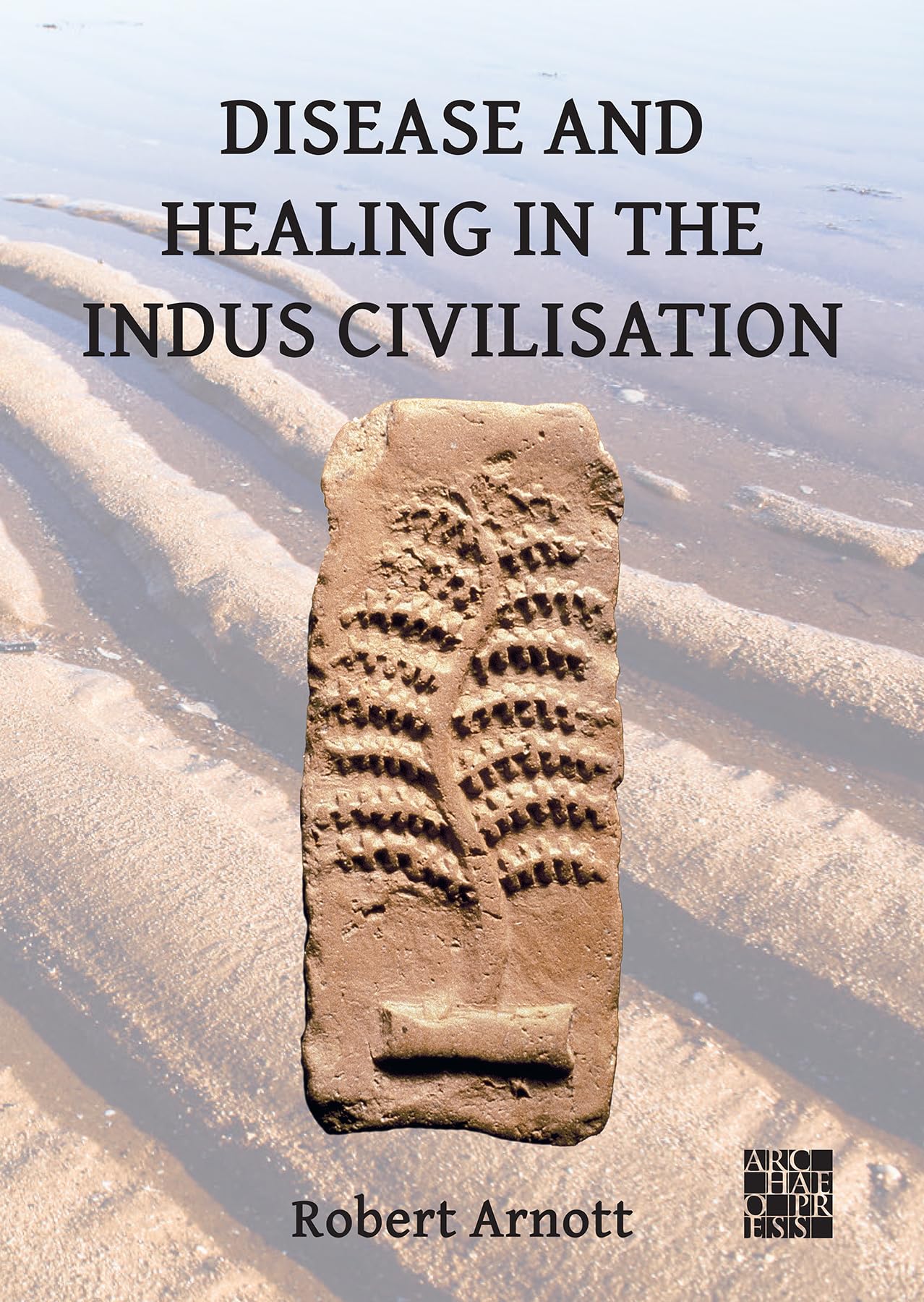 Disease and Healing in the Indus Civilisation by Robert Arnott - 9781803277387