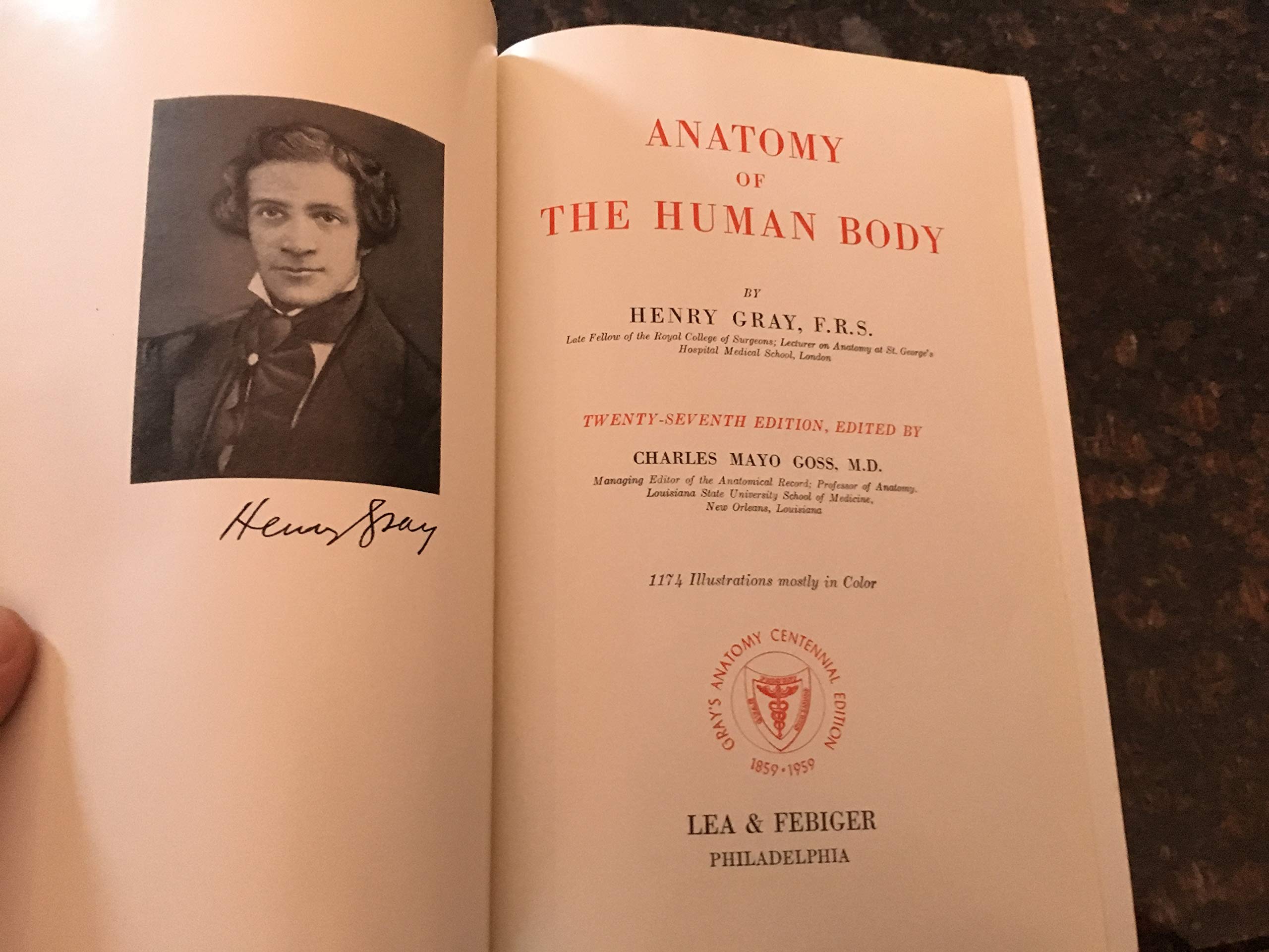 Grays Anatomy 28TH Edition Hardcover – January 1, 1966