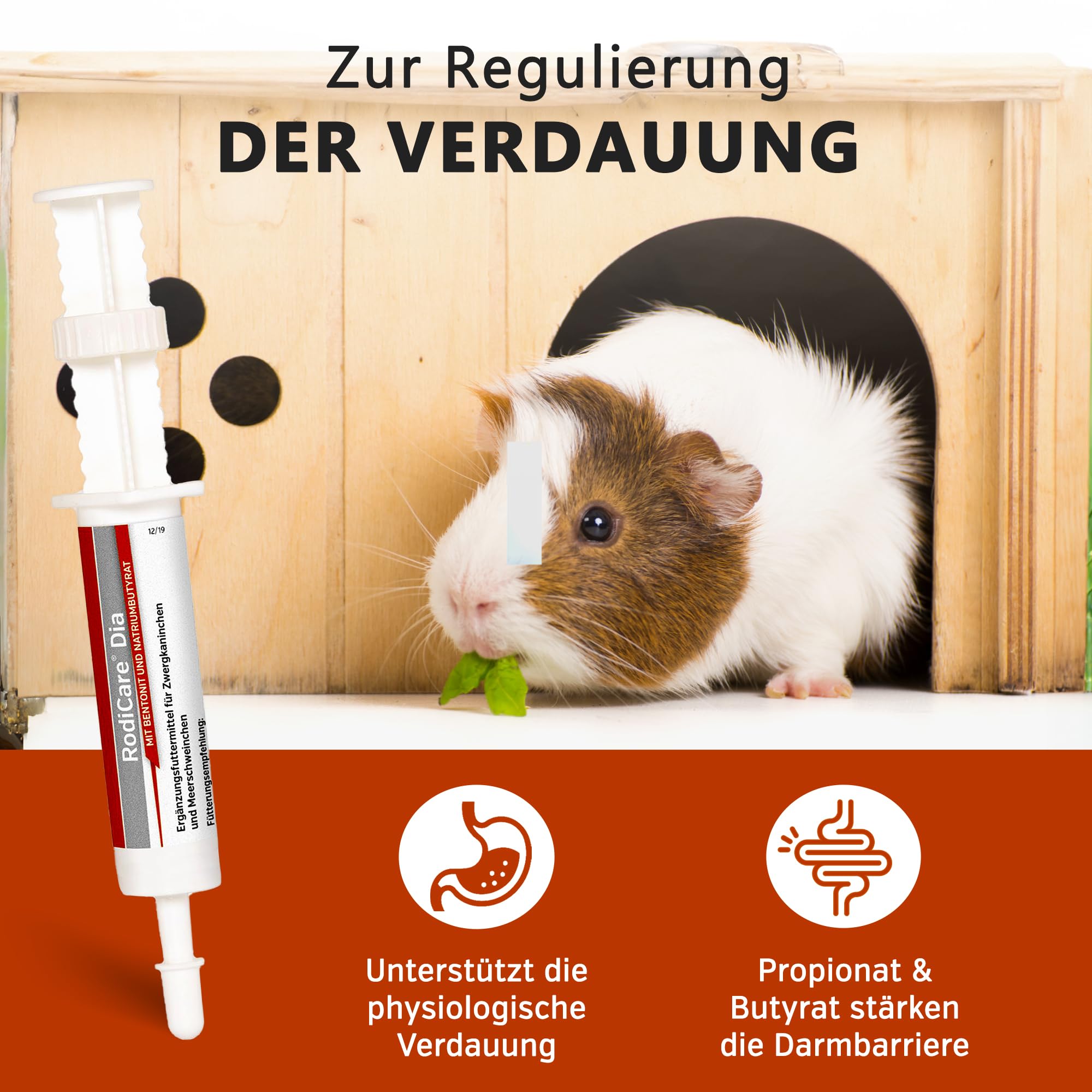 Alfavet RodiCare Dia, Ergänzungsfuttermittel für Zwergkaninchen und Meerschweinchen, bei Durchfall, mit Natriumbutyrat, zuckerfrei, 3 Injektoren à 12 ml