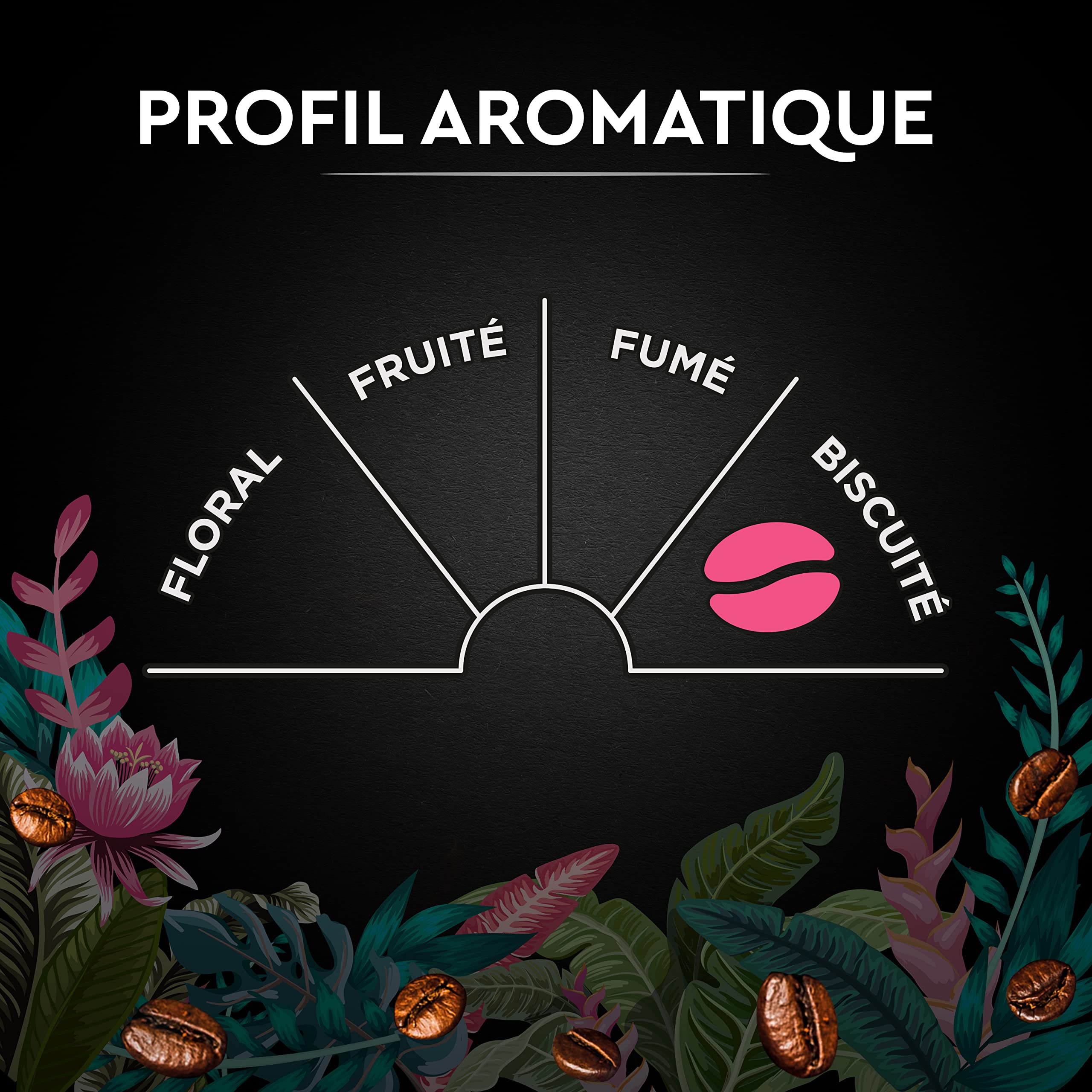 CARTE NOIRE - Café Grain Carte Noire "Secrets de Nature" - Congusta & Mundo Novo - Certifié Rainforest Alliance - Paquet de 1 kg - Fabriqué en France