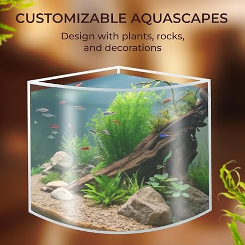 Miniatura 5 de Skywin Tanque de peces de esquina, tanque de peces acrílico de 1.71 galones, acuario de esquina para peces de la vida real, acuario para peces