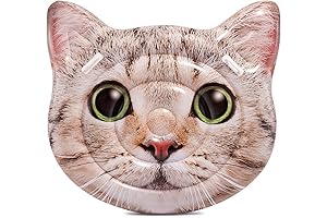 Intex At-At Cat Inflatable Island