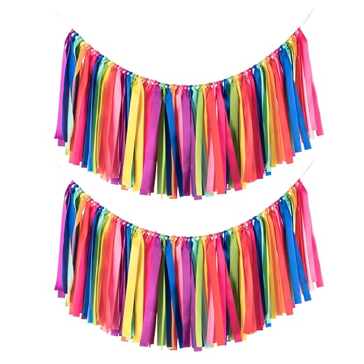 Handmade Rainbow Ribbon Tassel Garland