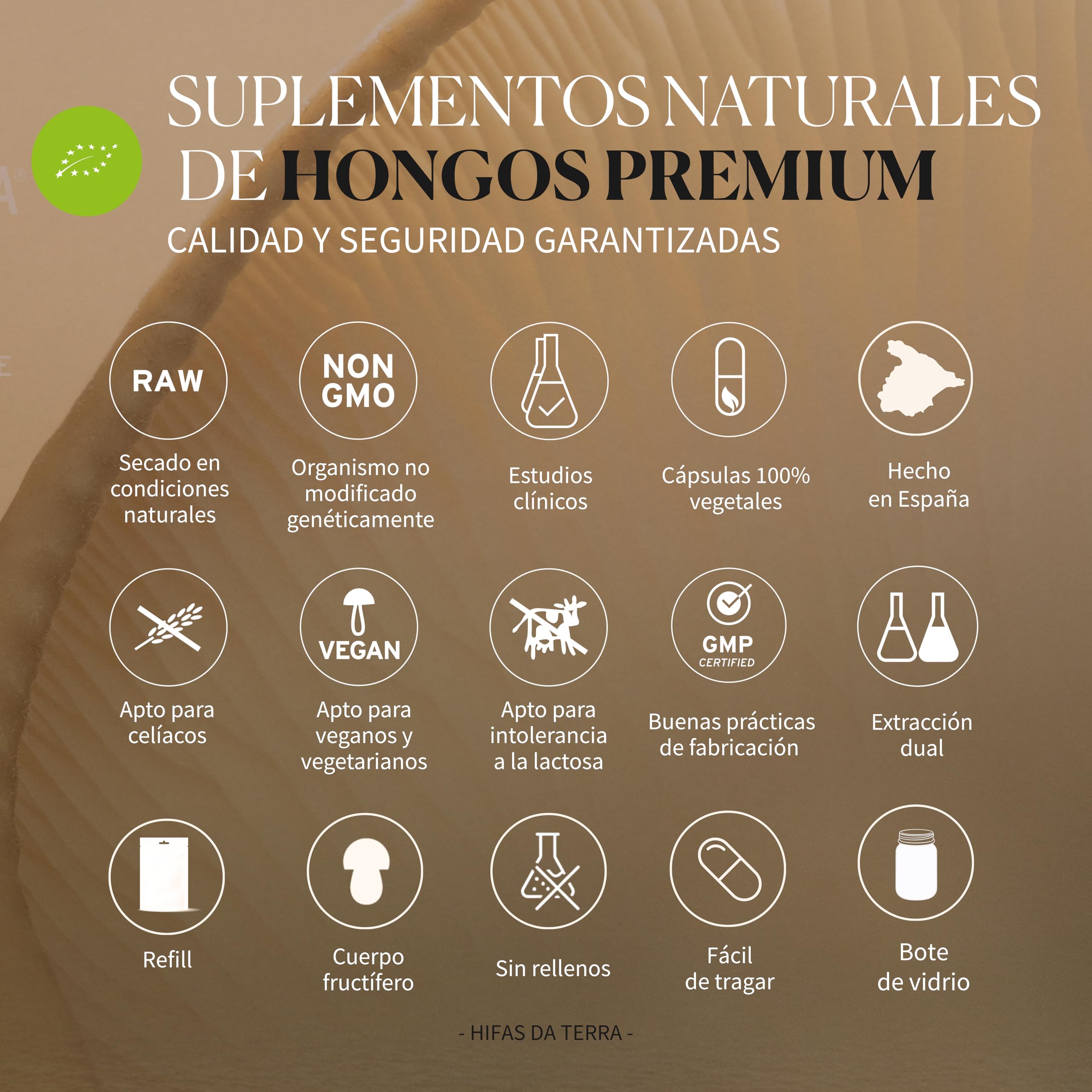 HIFAS DA TERRA - HIFAS-Microbiota Extractos de Hongos Puros de Reishi, Melena de León, Pleurotus y Shiitake para el Bienestar Digestivo con Efecto Prebiótico - Bote 60 Cápsulas