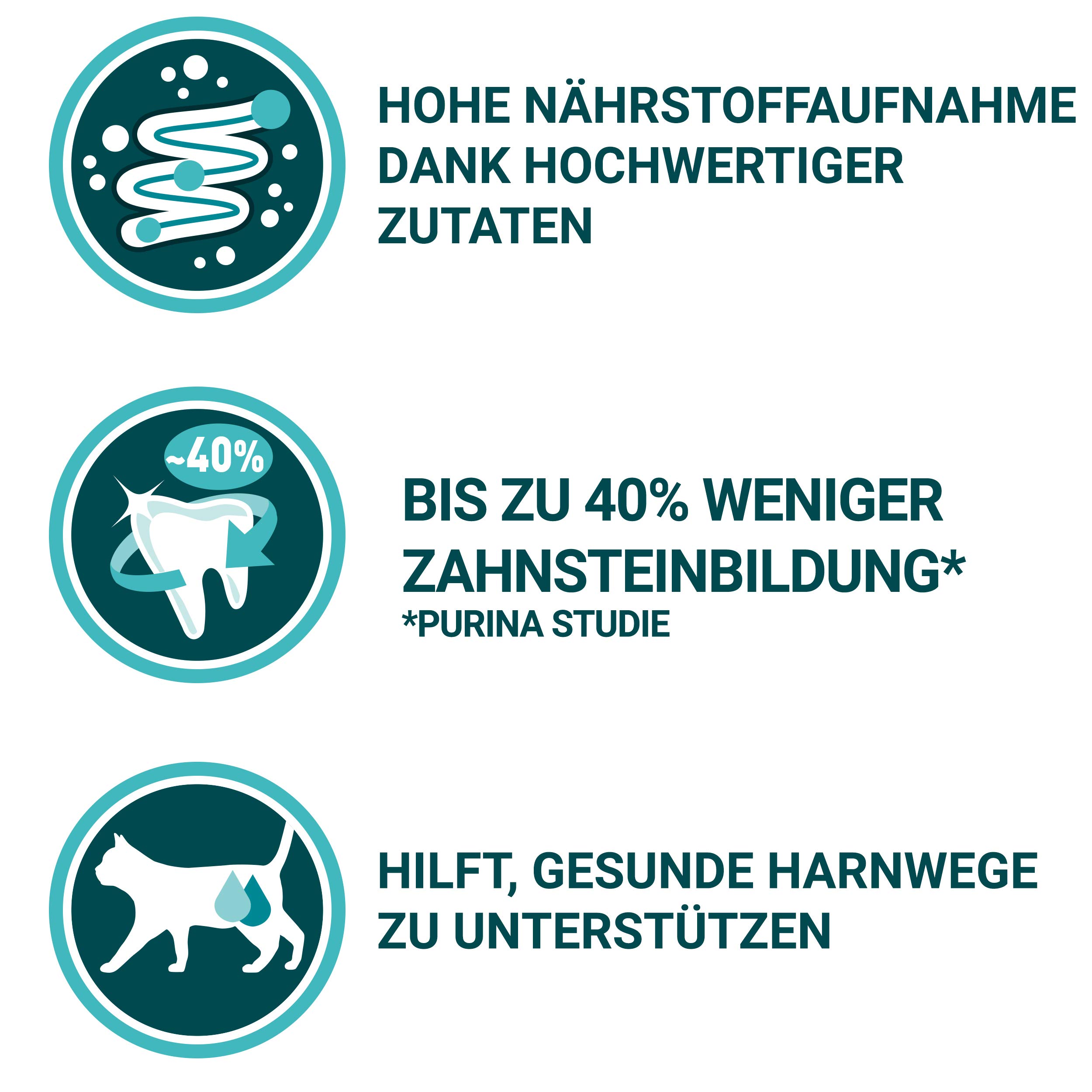 PURINA ONE Bifensis Adult Katzentrockenfutter: reich an Lachs, stärkt natürliche Abwehrkräfte, für gesunde Knochen, Haut, Zähne & Harnwege I ab 1 Jahr