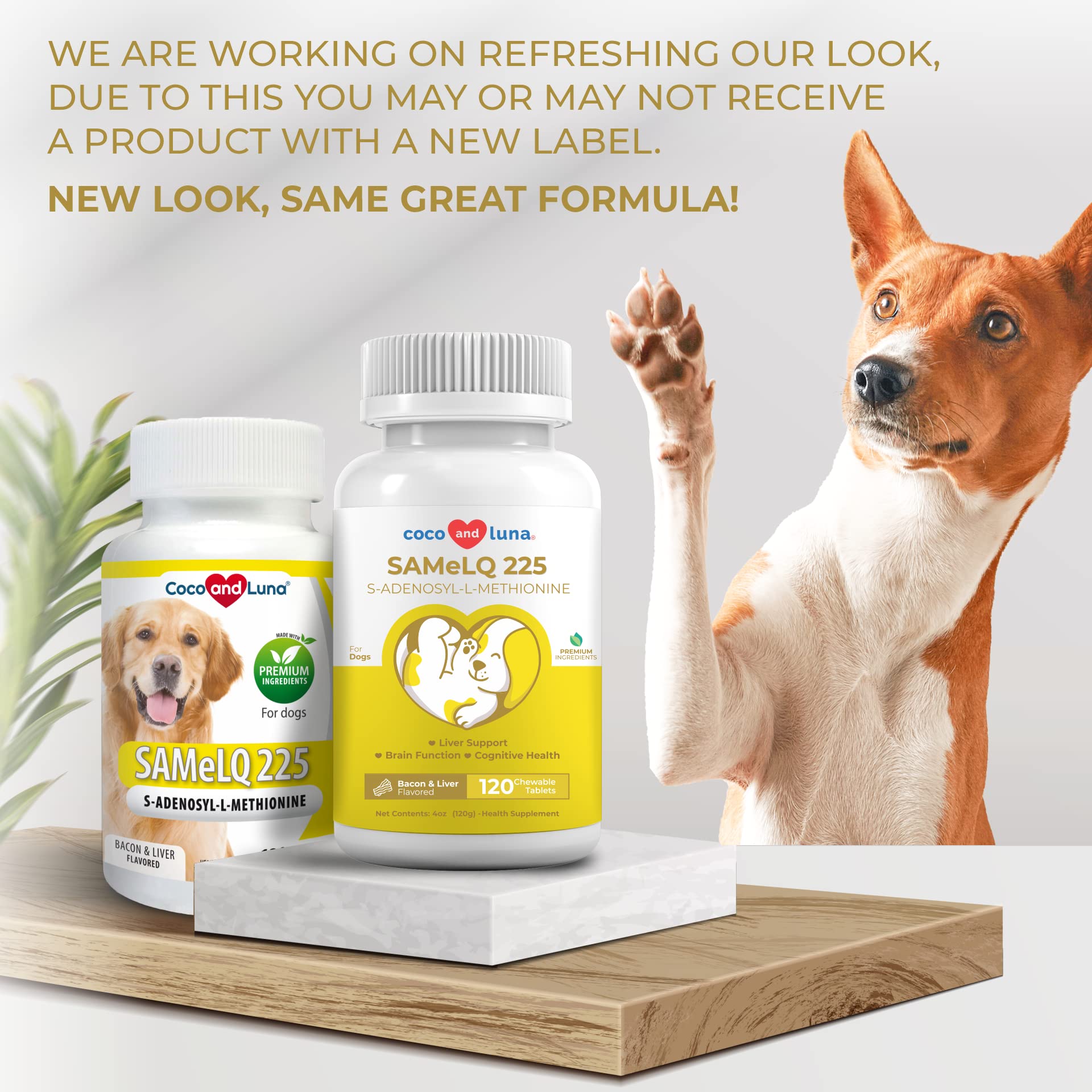 Buy Same for Dogs SAdenosylLMethionine, Same LQ 225, Liver