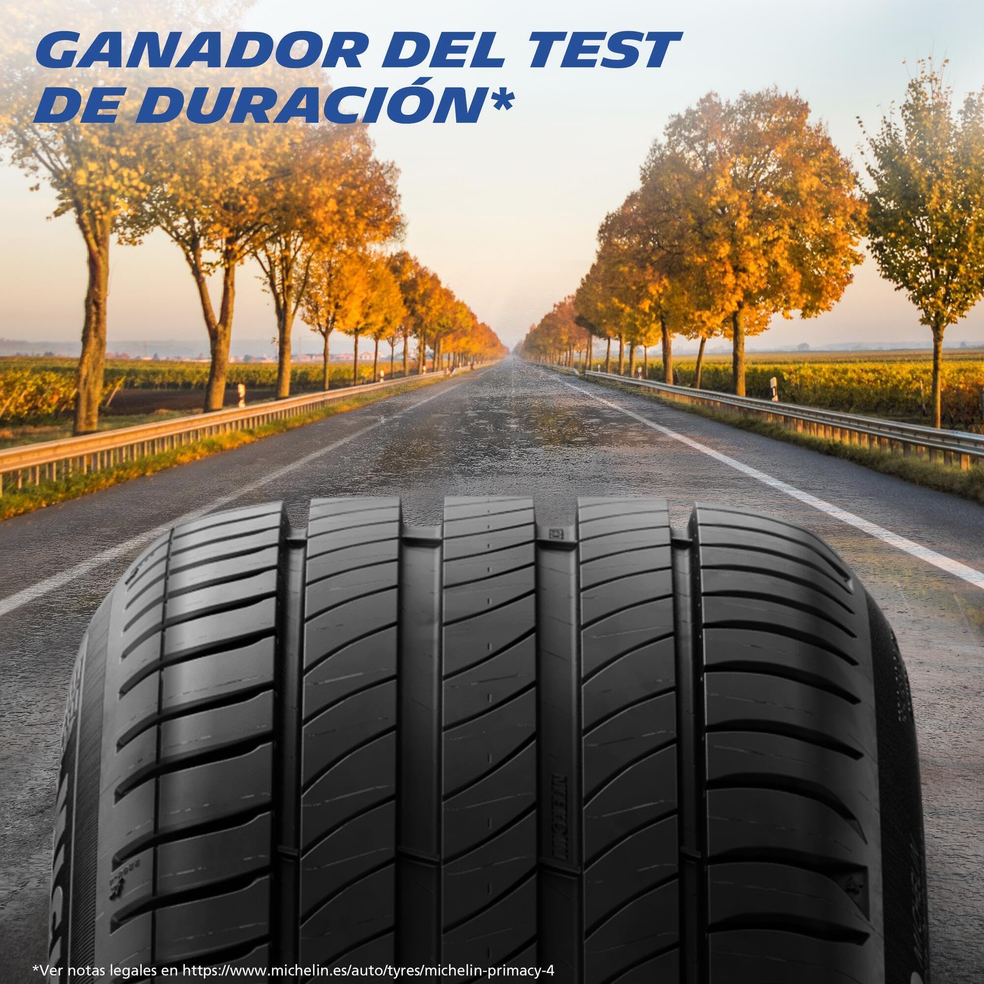 Neumático Verano Michelin PRIMACY 4 195/65R15 91H