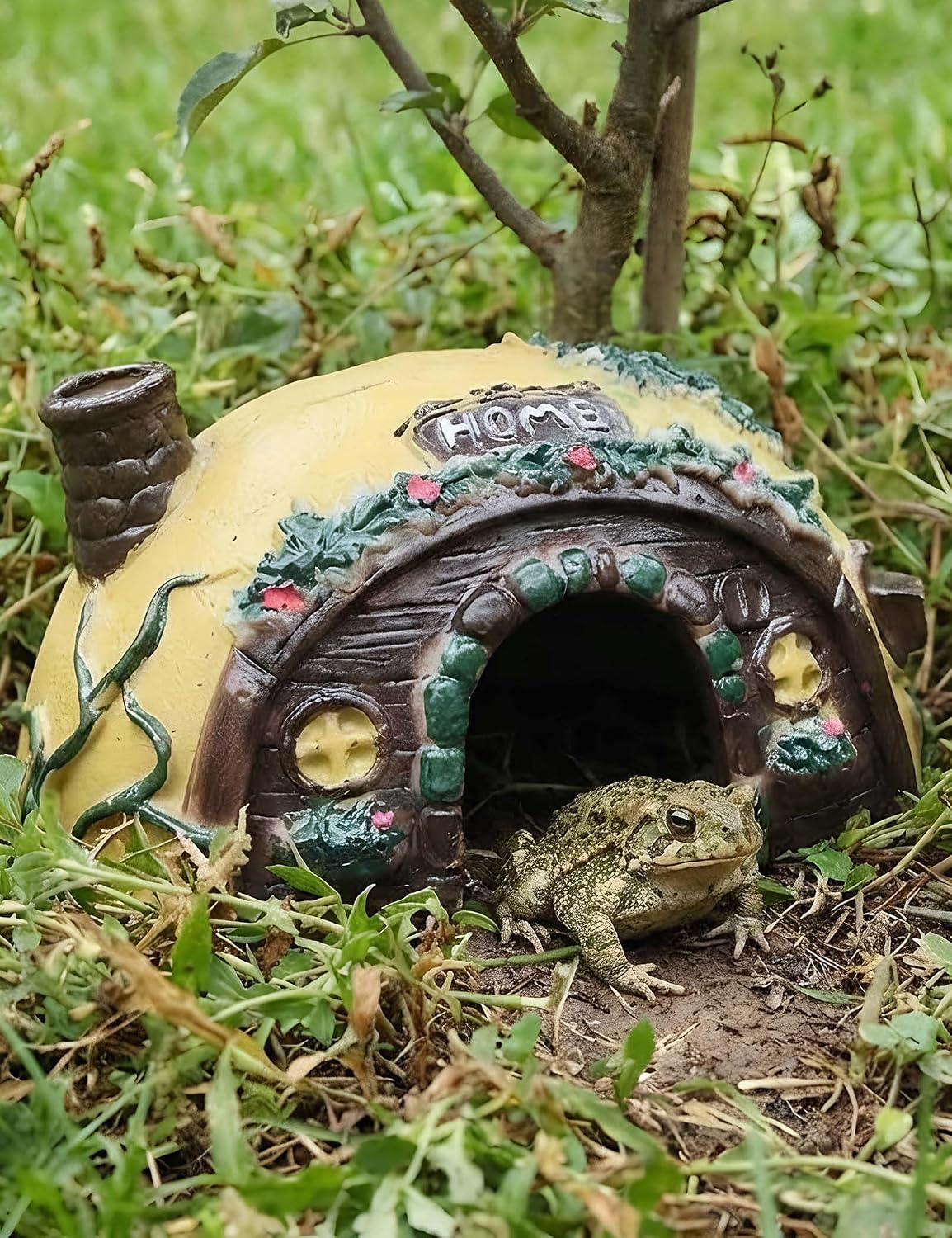 Toad Frog House for Outdoor Garden Reptile Amphibian Hideouts with Humid for Snakes Geckos Turtles Tarantulas