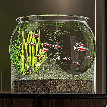 Clear Aquarium Betta Fish Tank, PET Fish Bowl, Unbreakable Globe Transparent Turtle Tank, Bowl Vase Small Desktop Aquarium For Betta Turtle