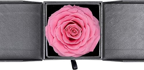 Caja de regalo joyería de flores preservadas hechas a mano, diseño de rosas nunca marchitas, flores inmortales de lujo, flores eternas para seres