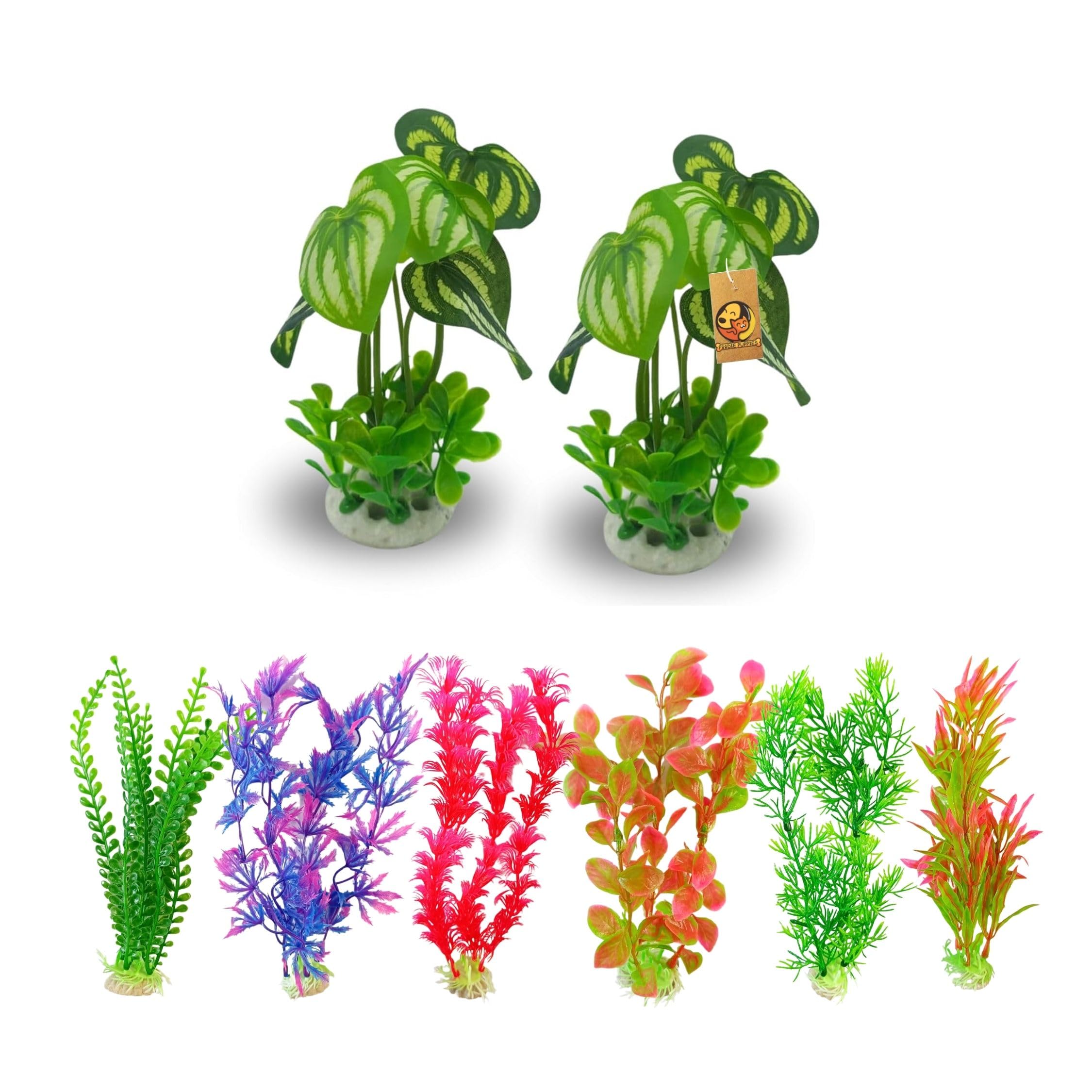 Foodie Puppies Aquarium Plastic Plants Combo - Spade Money Plant (Set of 2) + 8Inch Plant (Set of 6) for Fish Tank Ornaments Accessories, Resin Base Décor Natural Looking Plastic Artificial Plants (B0CNPC2NQG) Amazon Price History, Amazon Price Tracker
