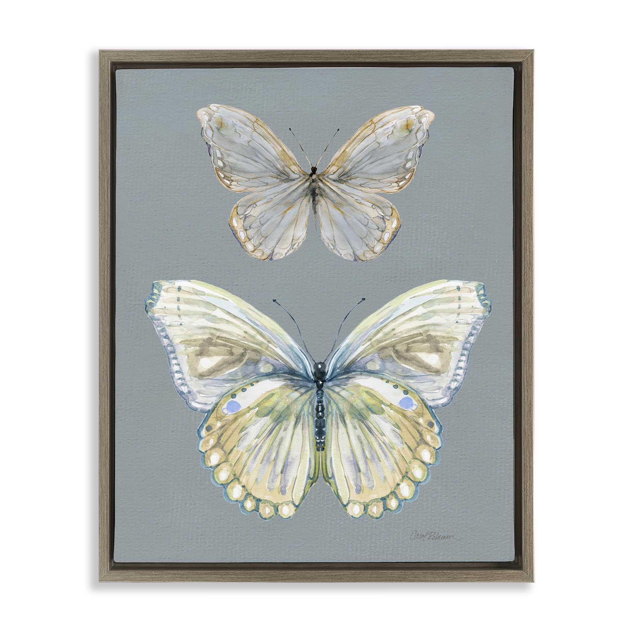 'Butterfly Pair Study'| Floating Frame Canvas Art