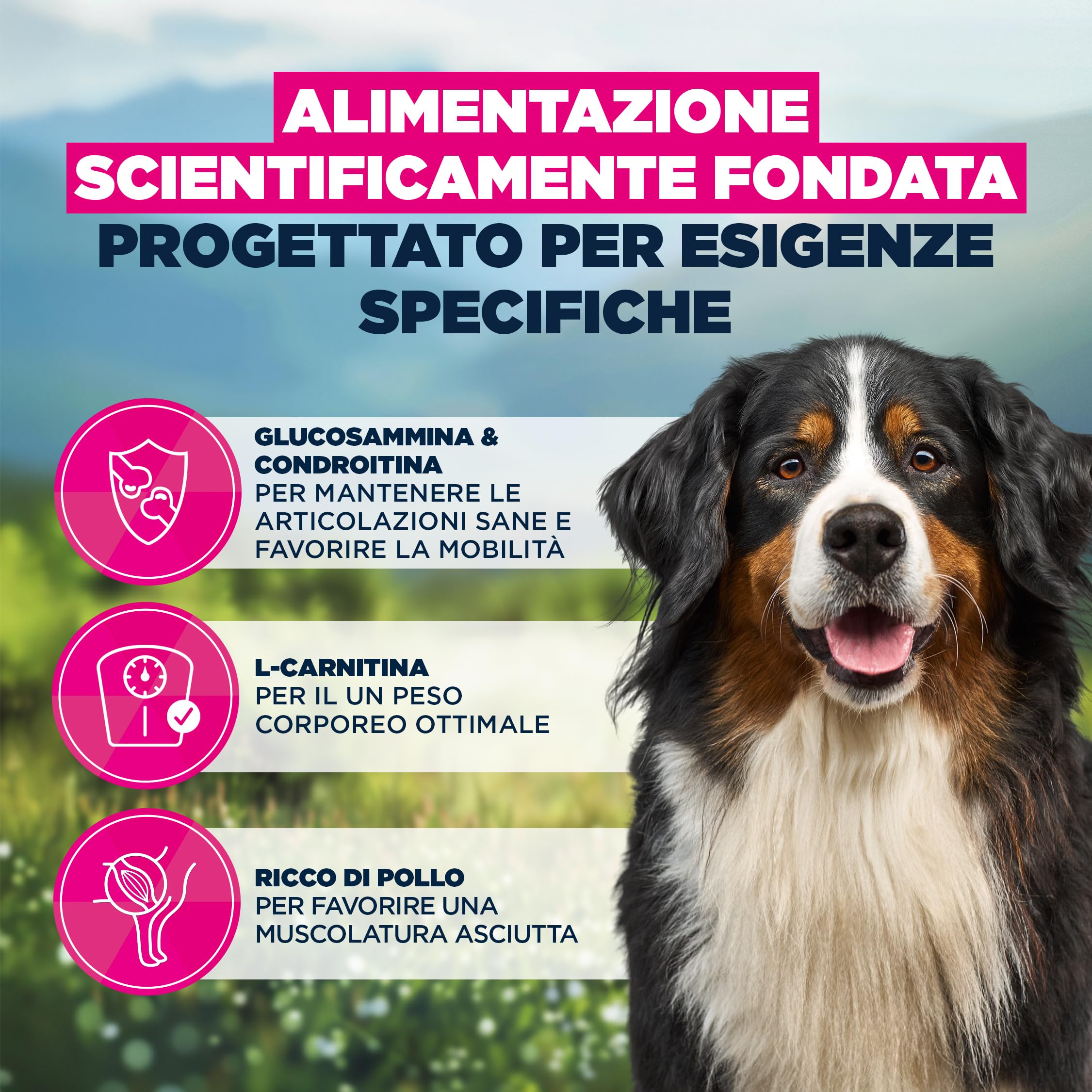 EUKANUBA Sensitive Joints Cibo per cani con pollo - Mangime secco Special Care per cani con articolazioni sensibili, studiato per supportare la mobilità, 12 kg