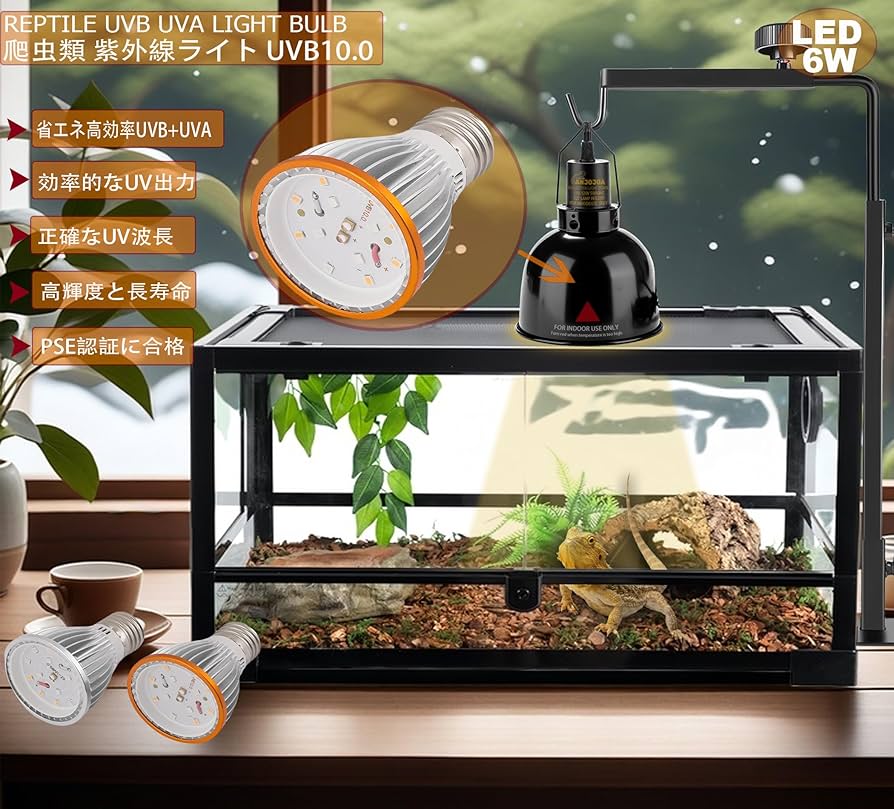 爬虫類ライトS0481