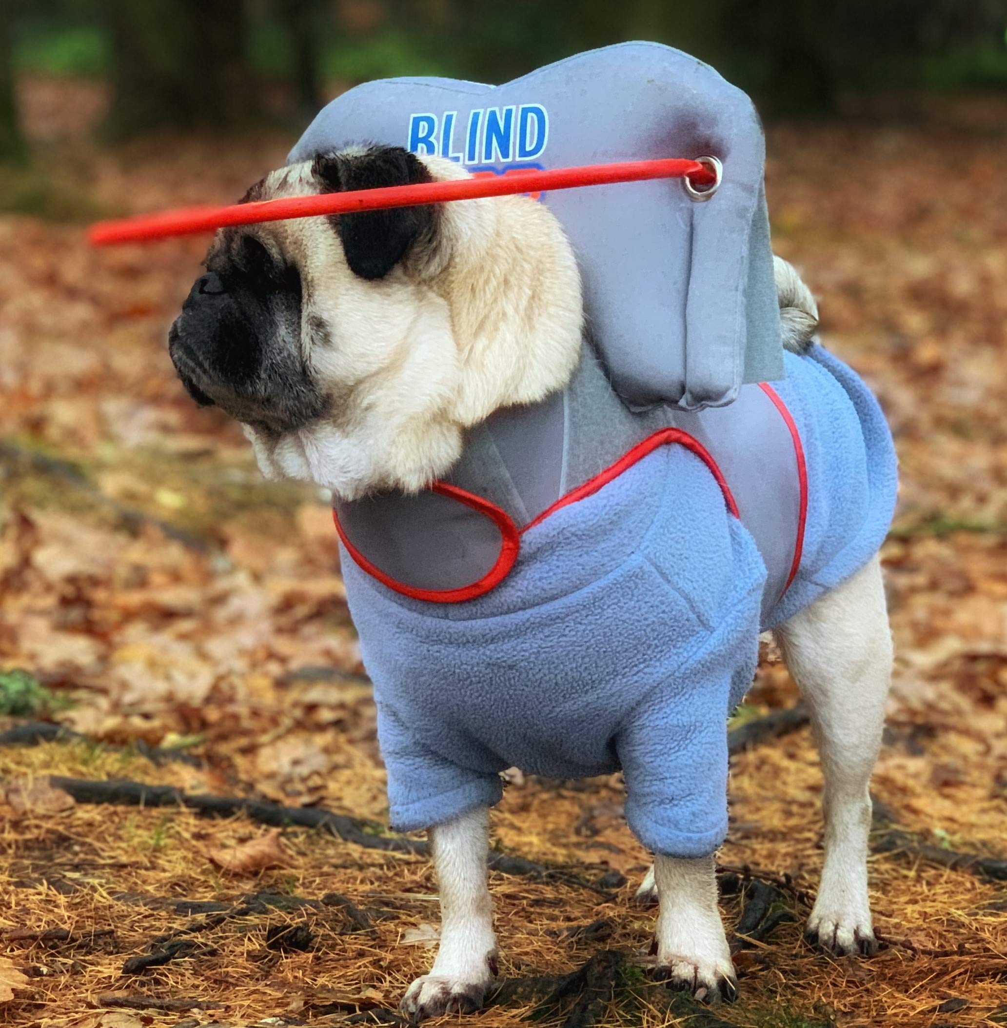 royal canin digestive