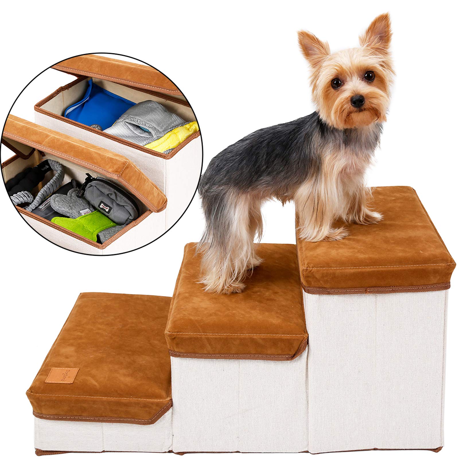 Can Puppies Climb Stairs