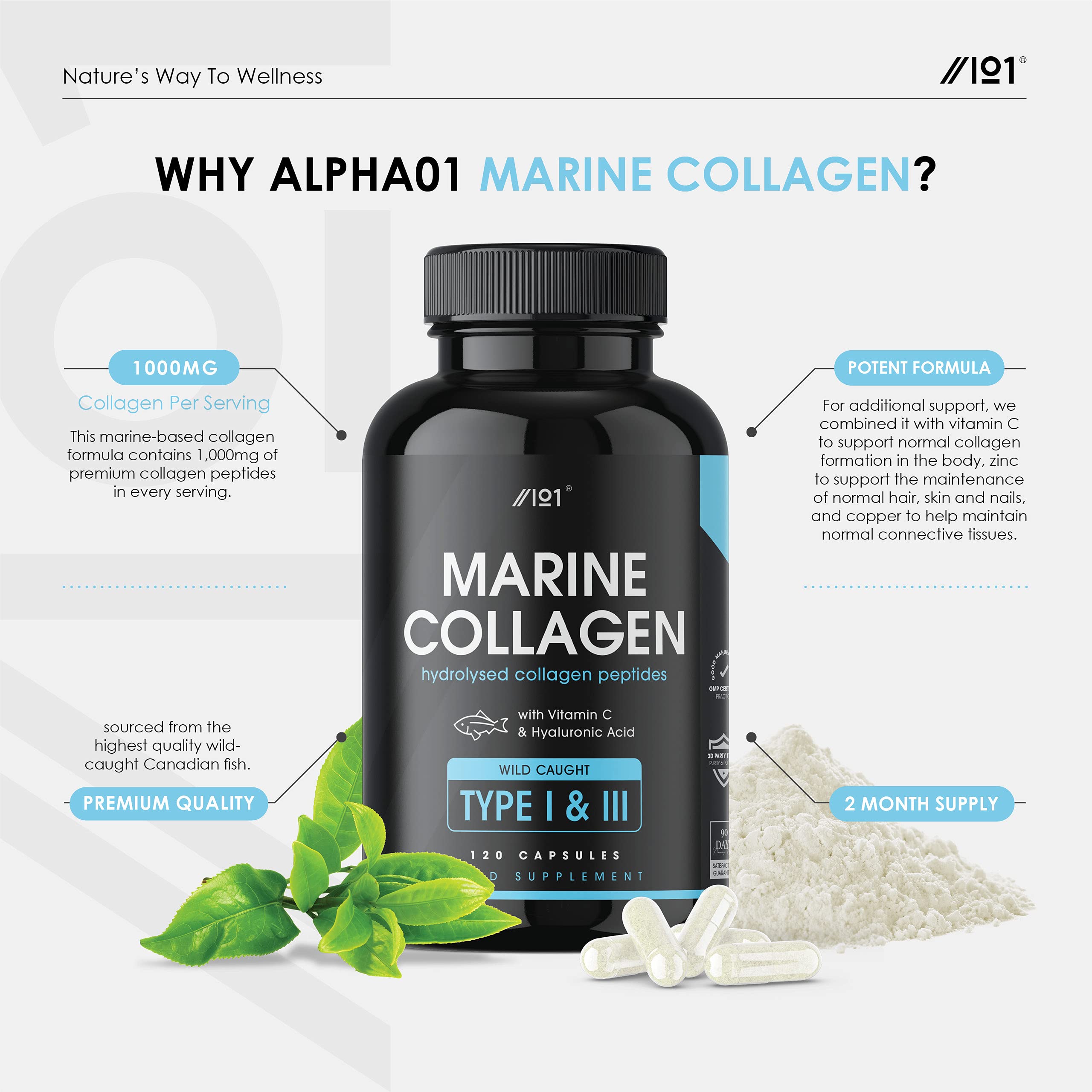 Marine Collagen 1000mg 120 High Strength Capsules WildCaught Type 1 Hydrolysed Marine