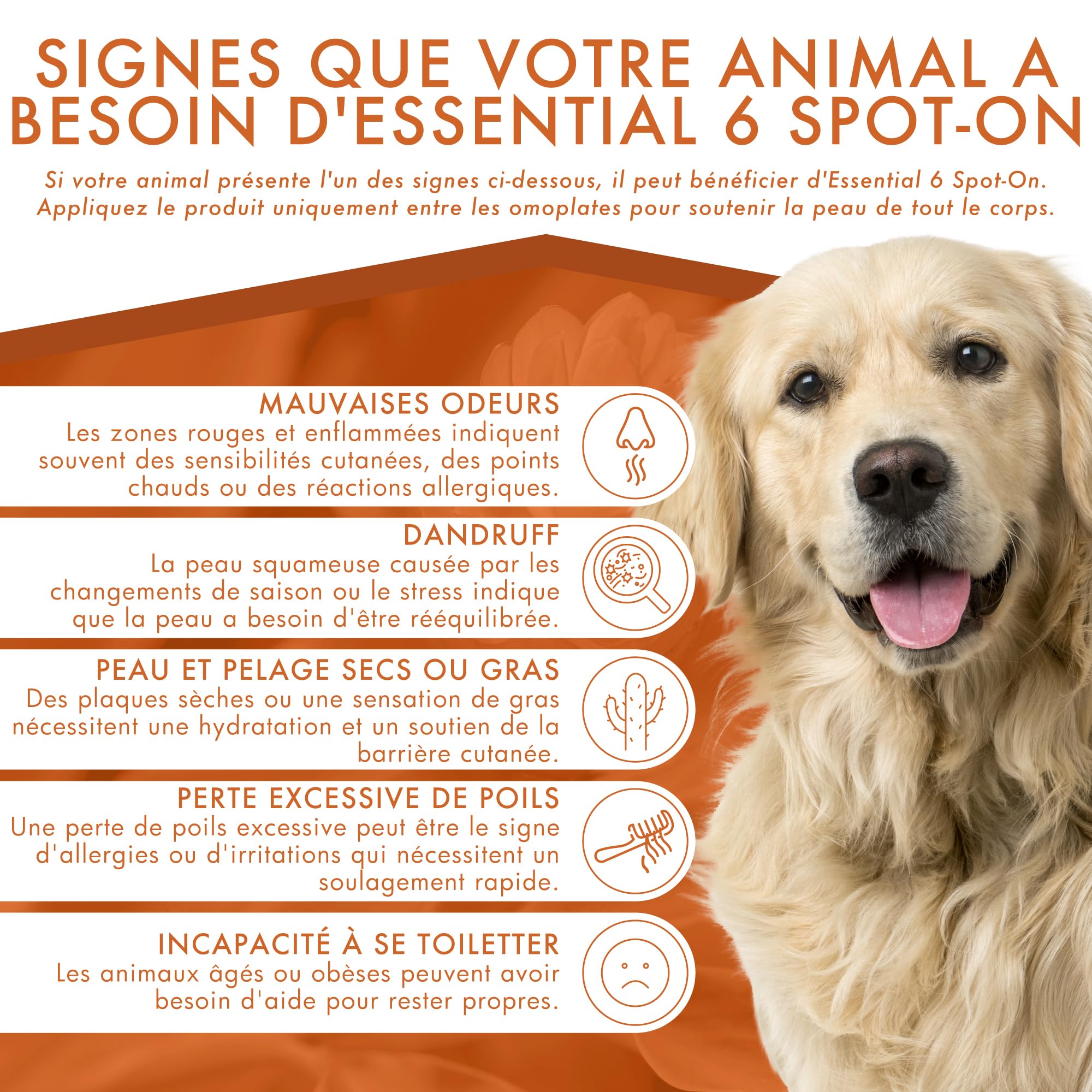 Dermoscent Essential 6 Spot-on pour Chien 20–40 kg | Soin Cutané Multifonctionnel Naturel | 4 Pipettes x 2,4 ML