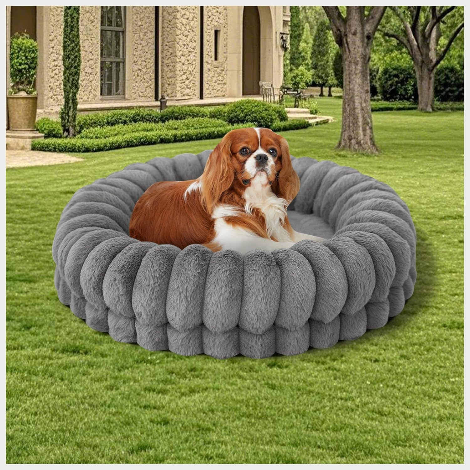 BALANCE Luxury Donut Dog Bed, 23 Inches Round Dog Beds for Small Dogs Washable, Orthopedic Calming Pet Bed for Puppy and Cats with Anti-Slip Bottom, cream