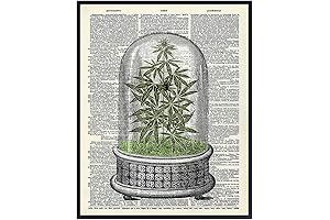 Cannabis Decor - Weed Smoking Gifts - Dope Wall Decor