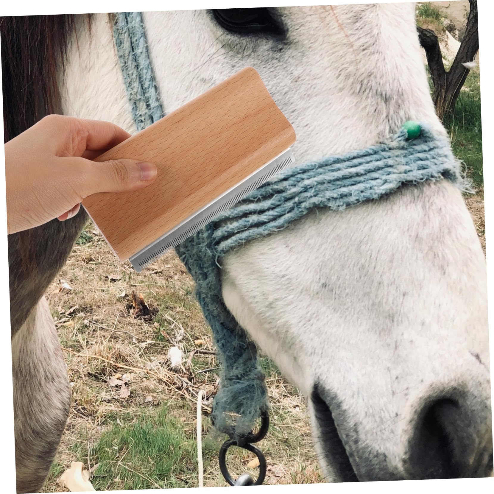 BESPORTBLE 5 Uds Peine Para Eliminar El Pelo De Mascotas Cepillo Para Derramar Pelo De Caballo Peine Para Ganado Herramienta De Aseo Para Caballos Peine De Curry Para Caballos Cepillo