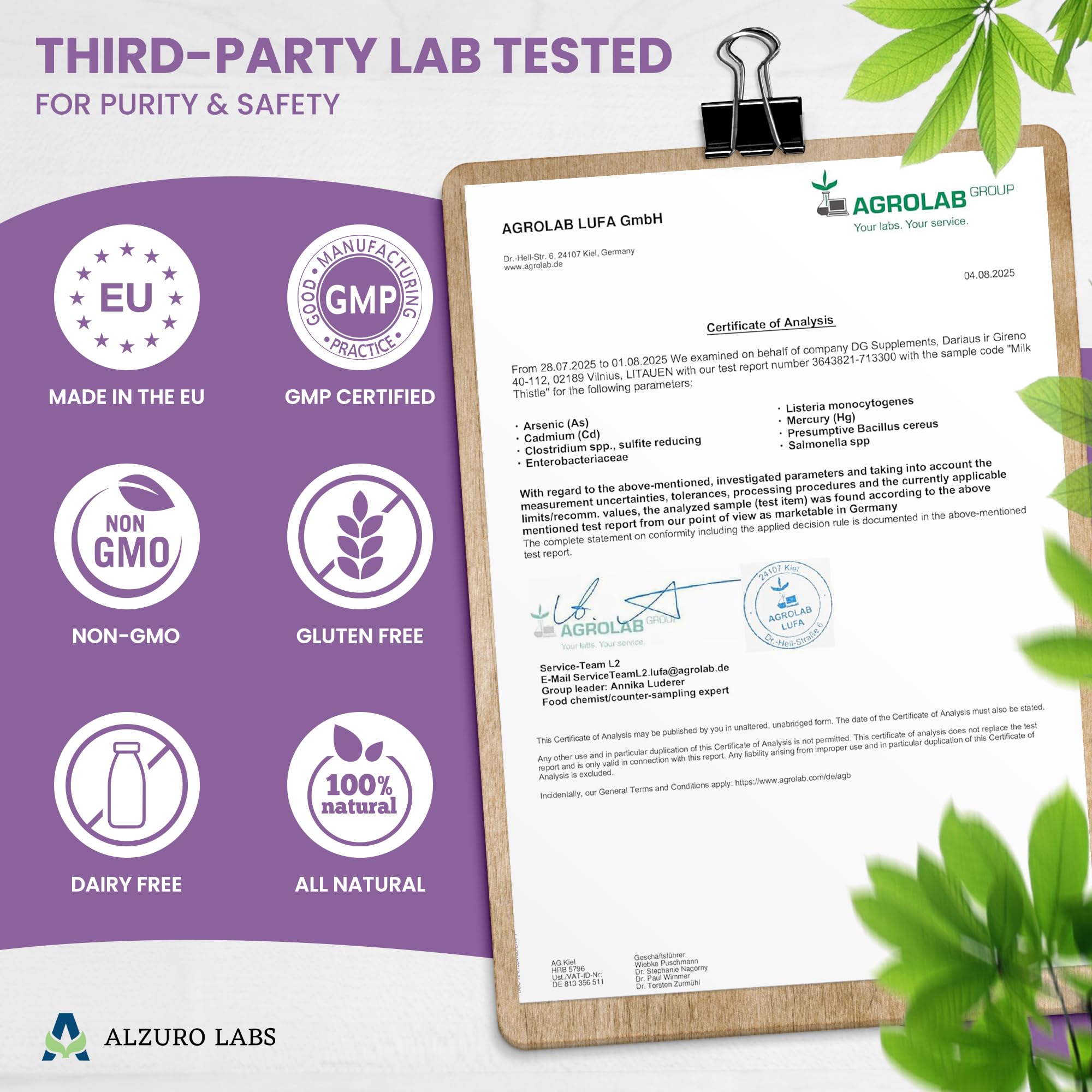 Milk Thistle | 6 000 mg Équivalent | Extrait 15:1 500 mg (80% Silymarine) | 180 Gélules Végétales | Chardon-Marie – Silybum marianum | GMP & Testé en Laboratoire Indépendant
