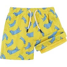 MILANKERR Toddler Boys Swim Trunks with Compression Air Holes Liner Quick Dry Boys Bathing Costumes