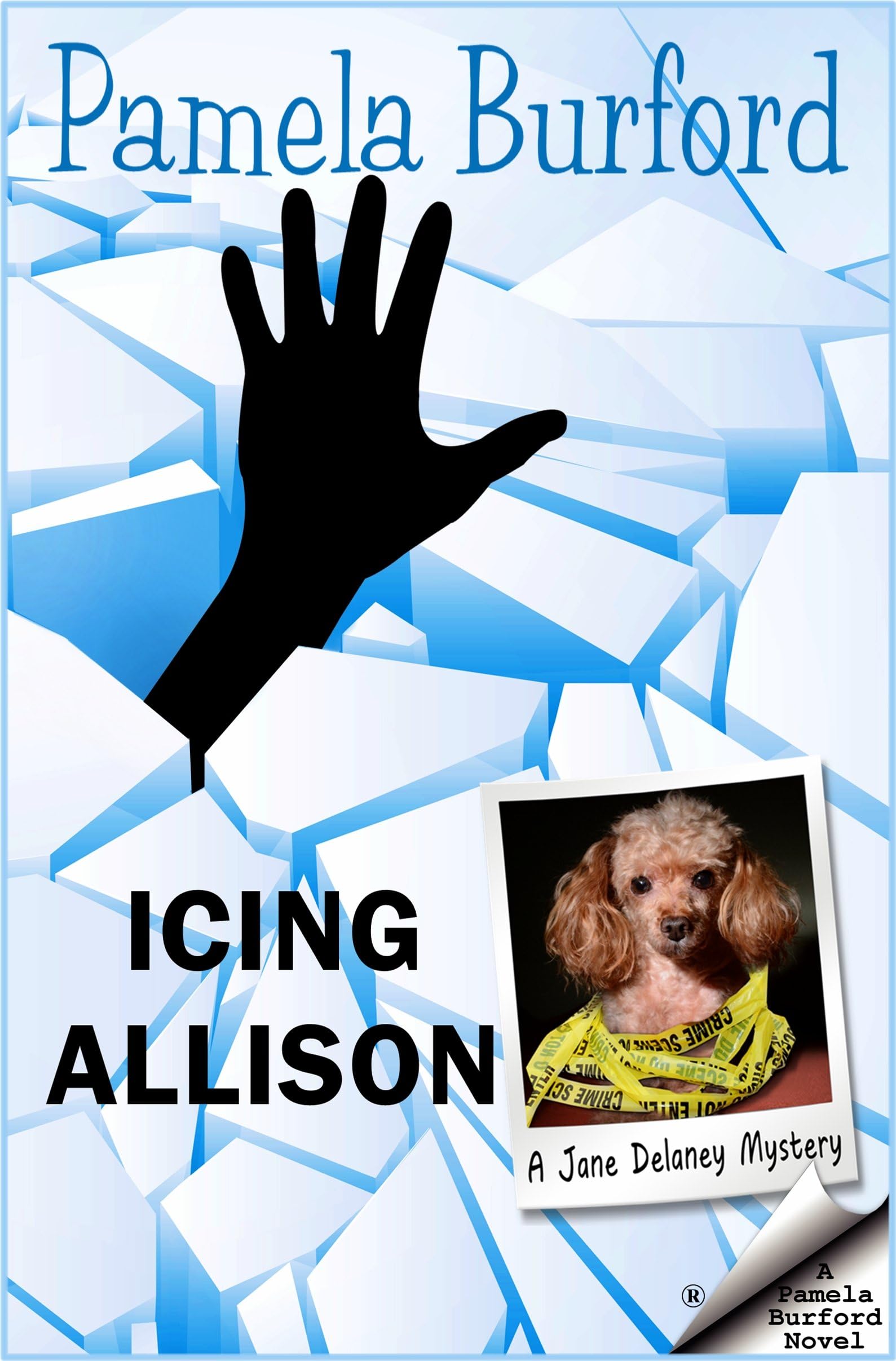Icing Allison (Jane Delaney Mysteries Book 4)