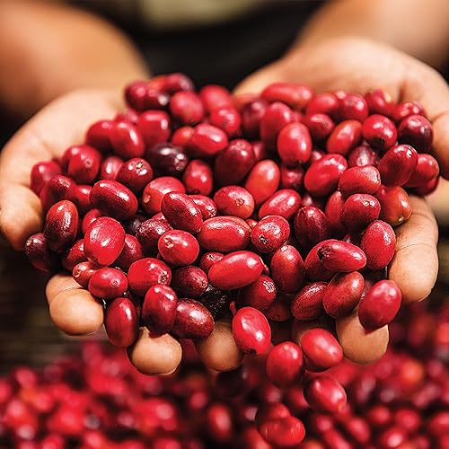 Miniatura 8 de Green Mountain Coffee Roasters Café molido Paraiso Costa Rica, 10 onzas (paquete de 3)