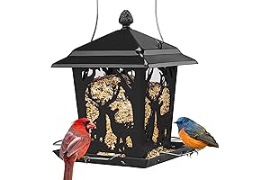 Kingsyard Rustic Bird Feeder: Nurture Wildlife with Style