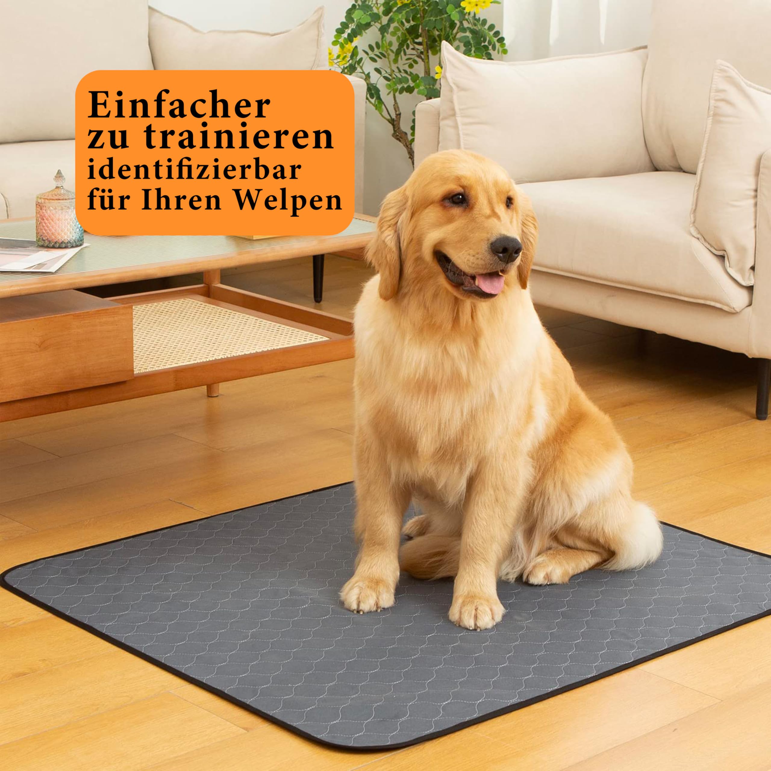 Bunlitent Wiederverwendbare Hundematten 5er Set (91x122 cm) – Waschbare Haustier-Urinunterlage Schnell Absorbierend, Wasserdicht für Welpen & Inkontinente Hunde