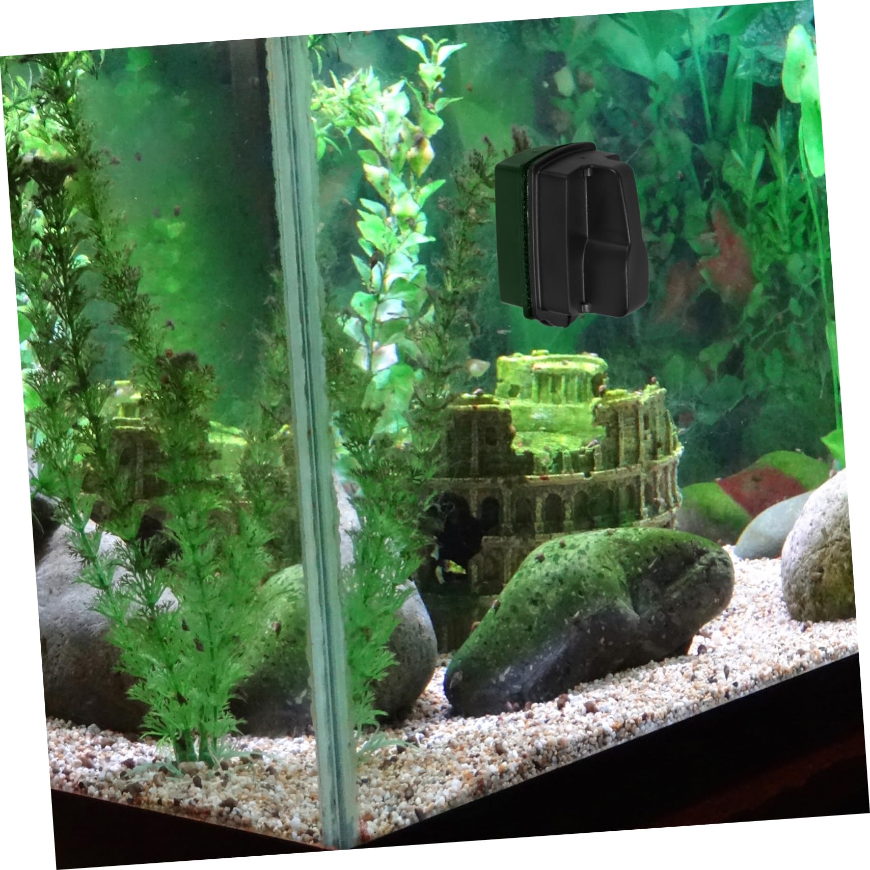 FOMIYES 4 Stück Aquarium Magnetische Reinigungsbürste Glasreiniger mit Schonenden Borsten für und Acrylbecken Effektive Algenentfernung Ergonomischer Griff Schonend für Aquarienoberflächen