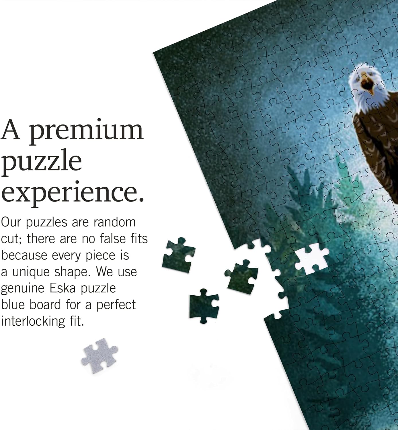 Lantern Press Smokey Bear, Only You Can Prevent Wildfires 1000 Piece Jigsaw Puzzle for Adults, Made in USA with Reference Poster