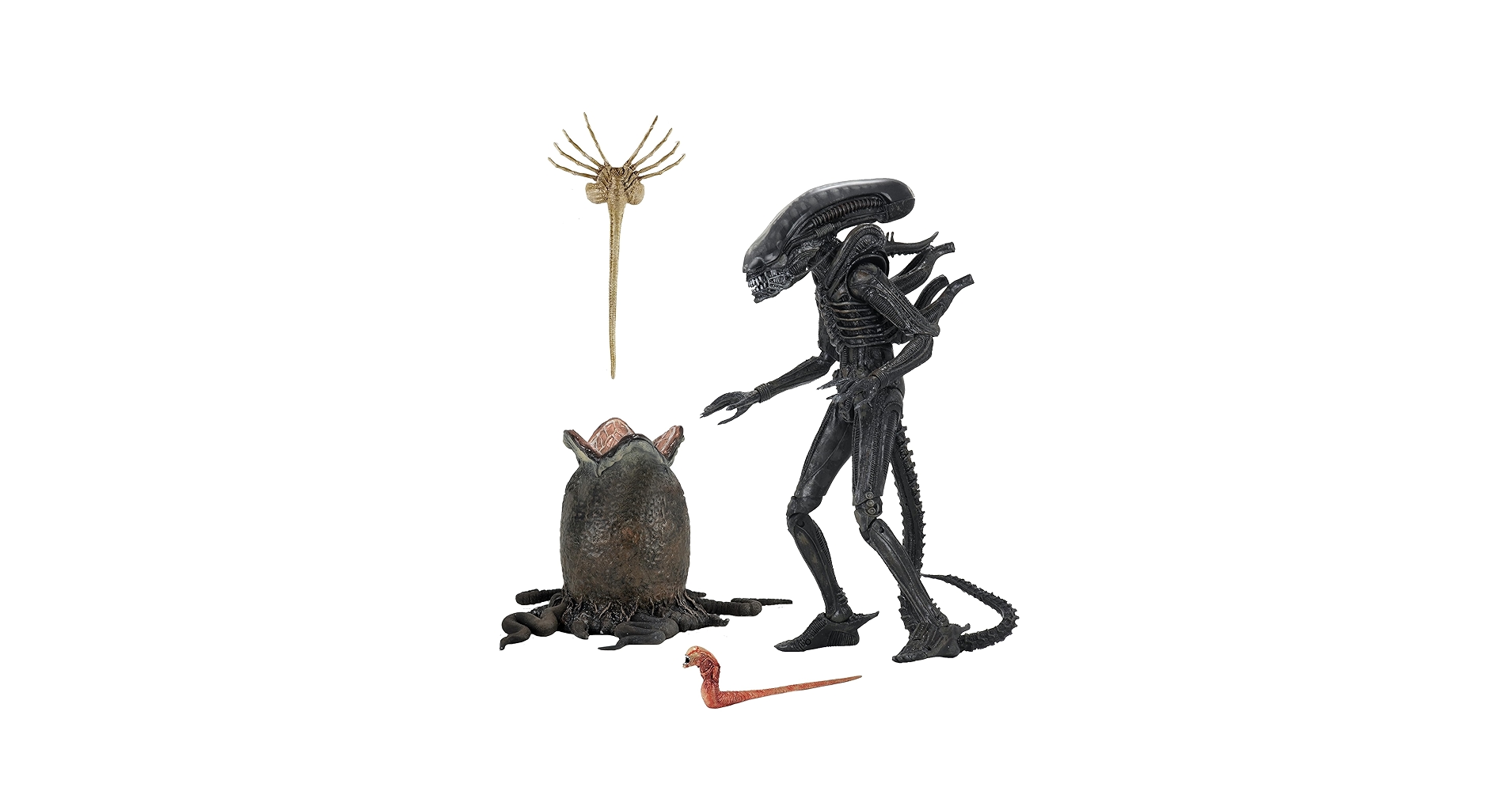NECA エイリアン 40th アルティメットエディション【新品•未開封】 Amazon.co.jp: ネカ エイリアン 40th アニバーサリー ビッグ