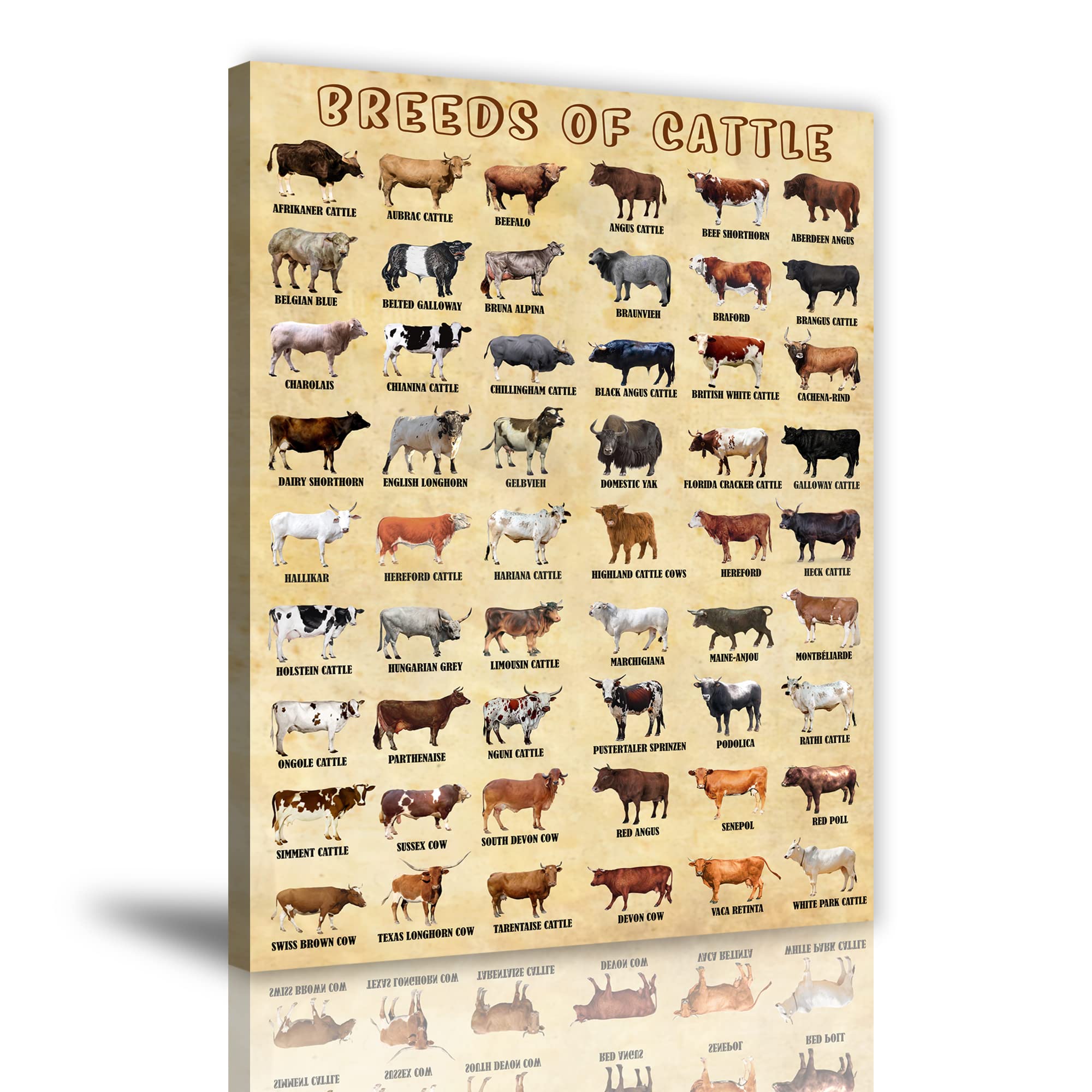 Breeds of Cattle Canvas Farmhouse Highland Cow Texas Longhorn Cow Wall Art (Framed 16x24inch)