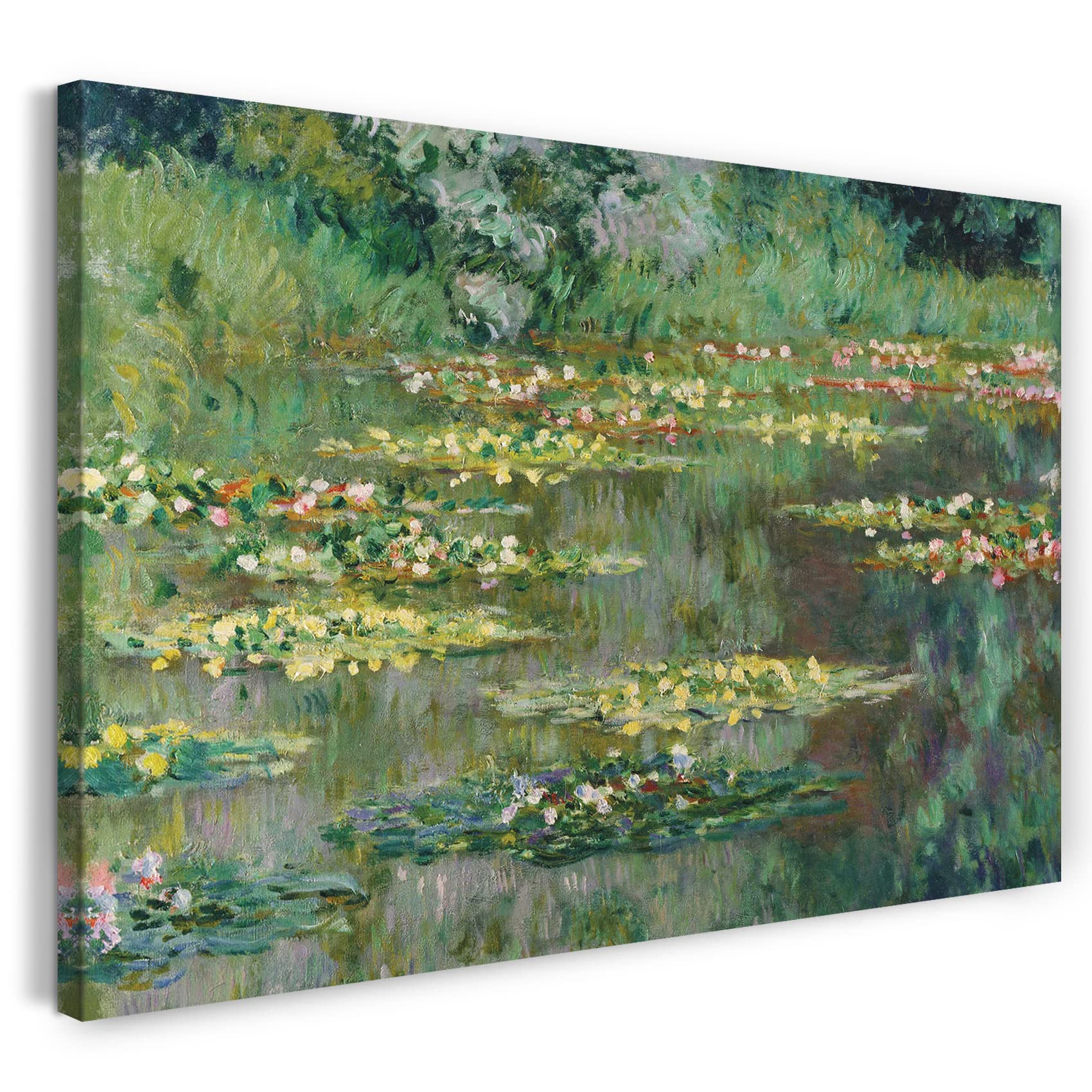 A brand New Collection inspired by Art and Paintings A brand New Collection inspired by Art and Paintings