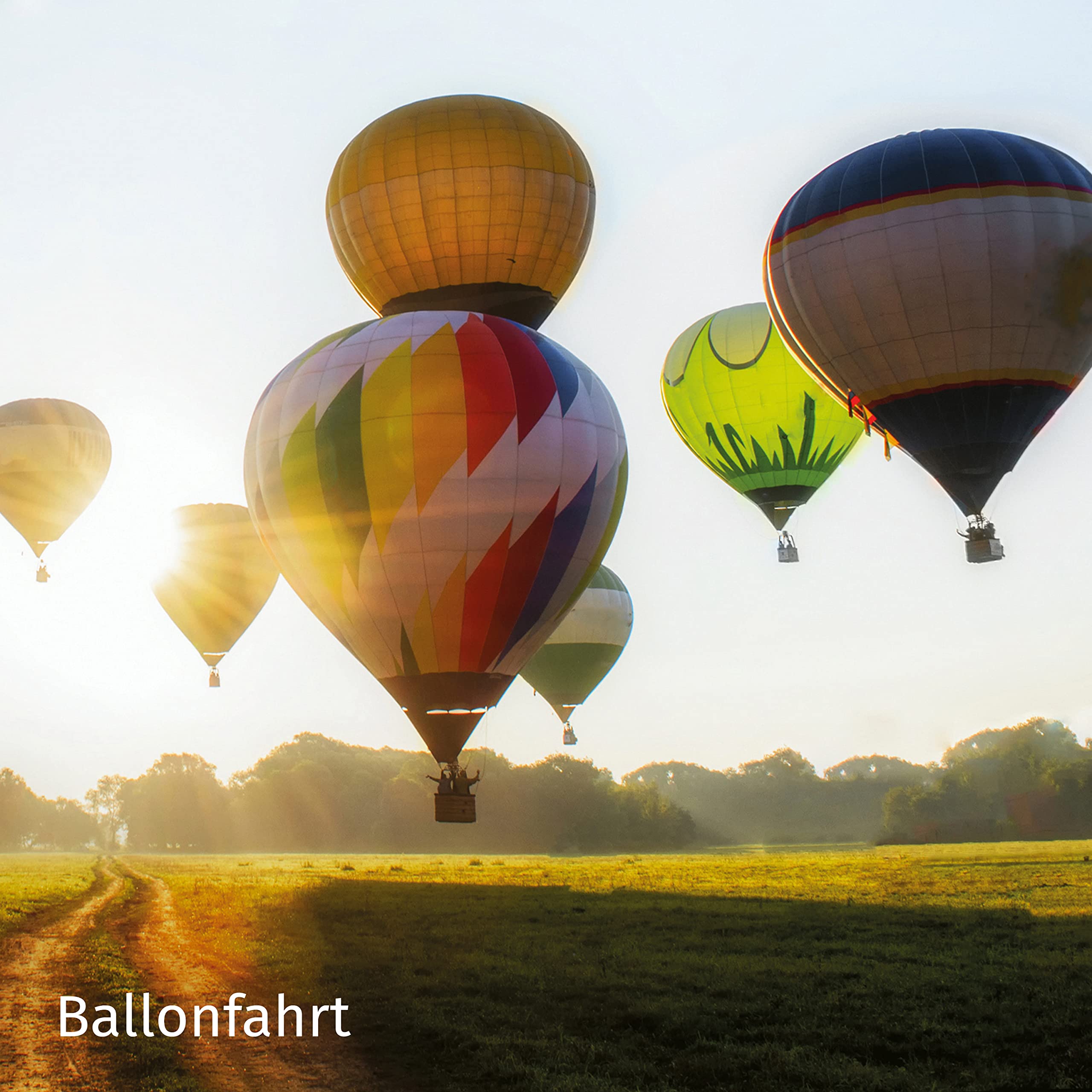 mydays Geschenkbox Hoch hinaus | Von Ballonfahren bis Fallschirmspringen: Erlebe echte Highlights