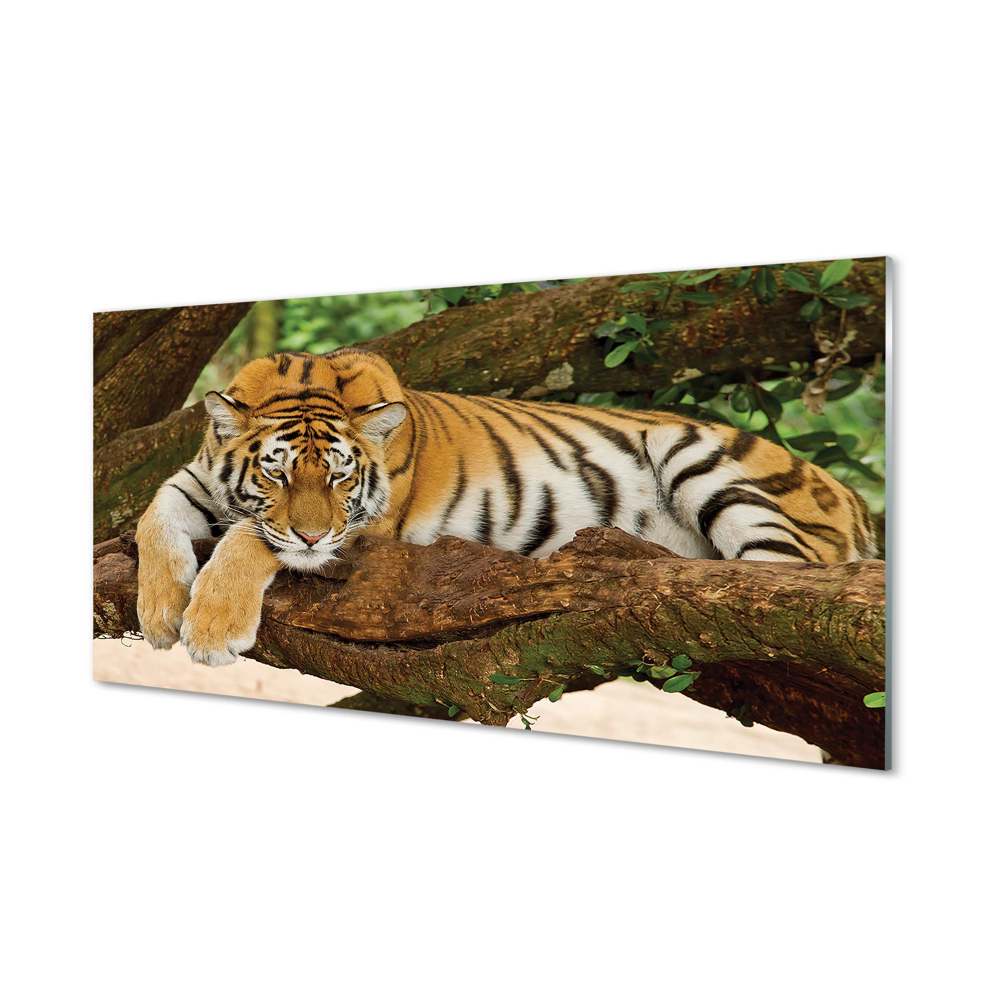 Impression sur verre salon 140x70 tableau mural animaux tigre
