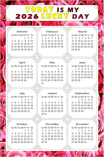 Calendario magnético 2024  Imanes del calendario  Today is my Lucky Day  Resistente a la decoloración, desgarros y agua  Temático 028 (7 x 10.5)