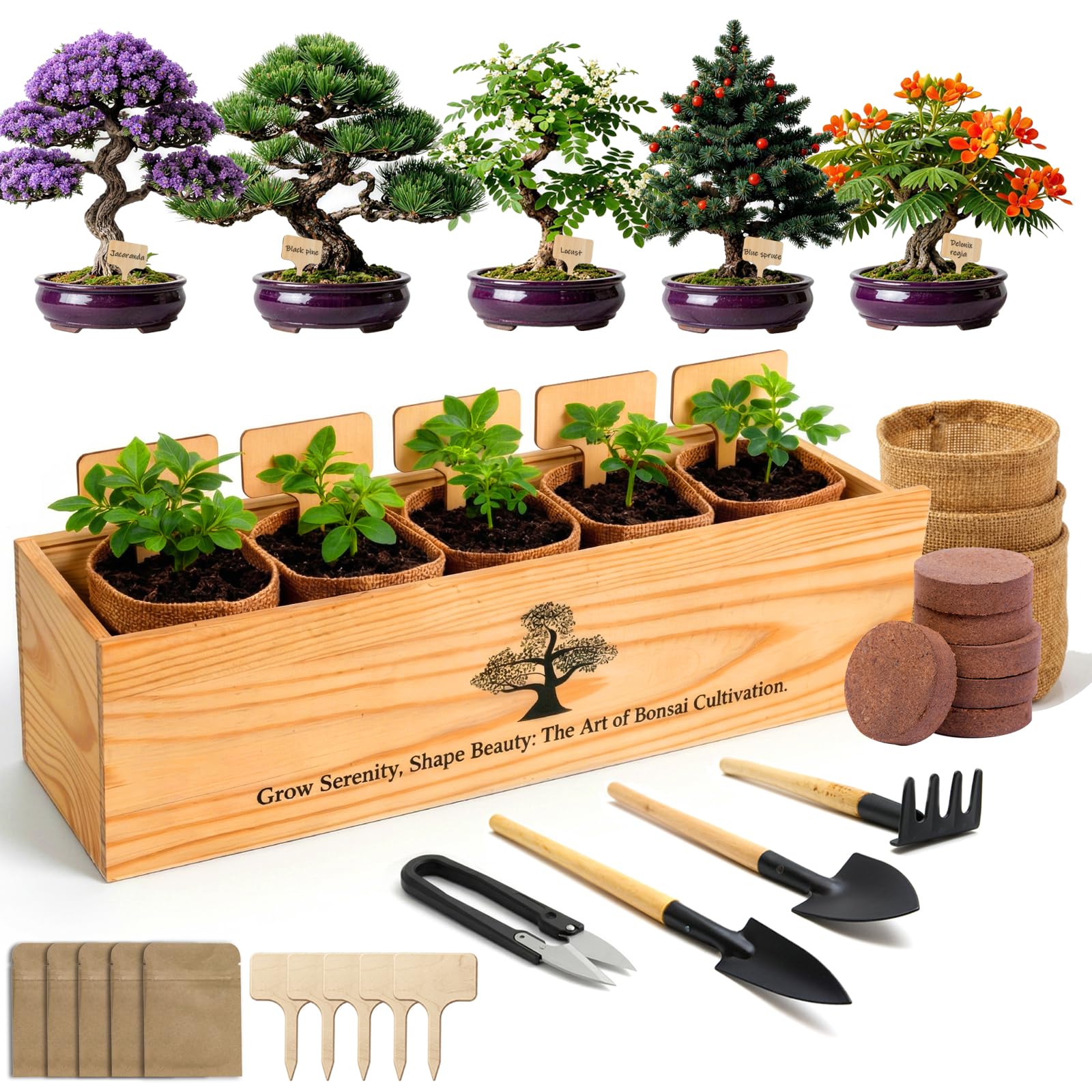 5X Bonsai Starter Kit